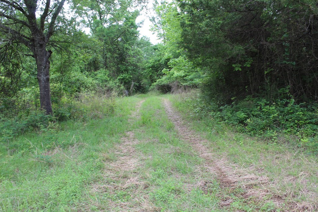 16104 SE County Road 2390