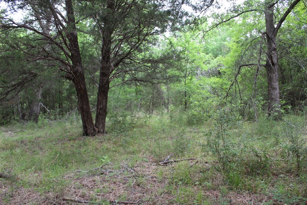 16104 SE County Road 2390