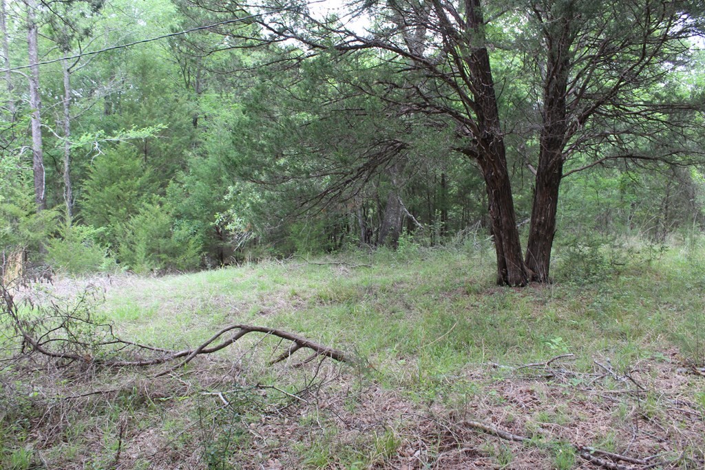 16104 SE County Road 2390