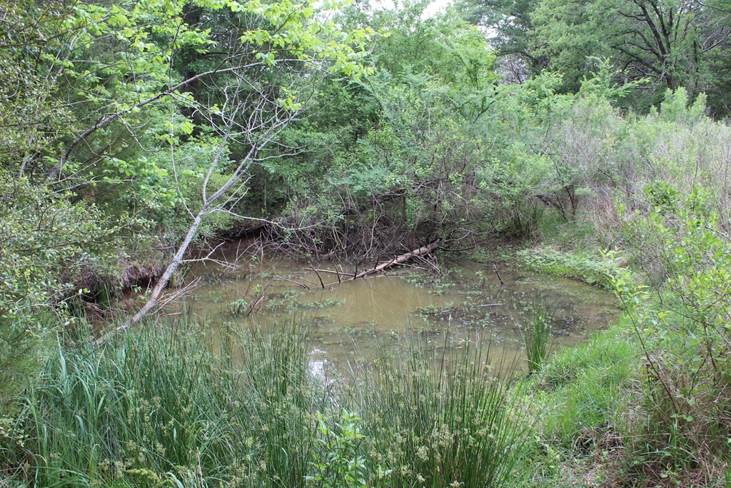 16104 SE County Road 2390