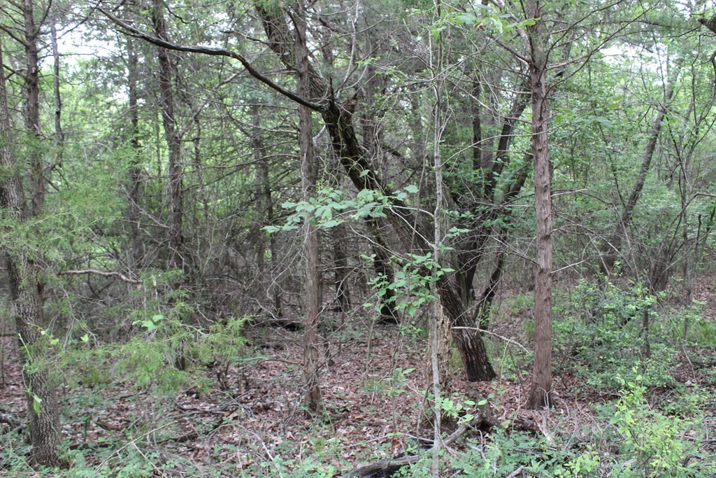 16104 SE County Road 2390