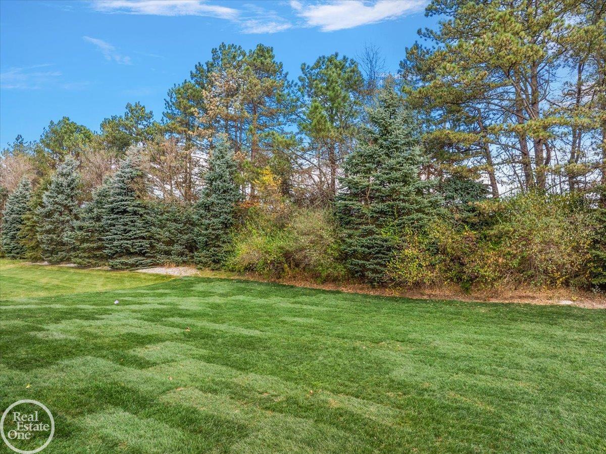 50788 Summit View Drive Lot 9 Unit: Lot #9