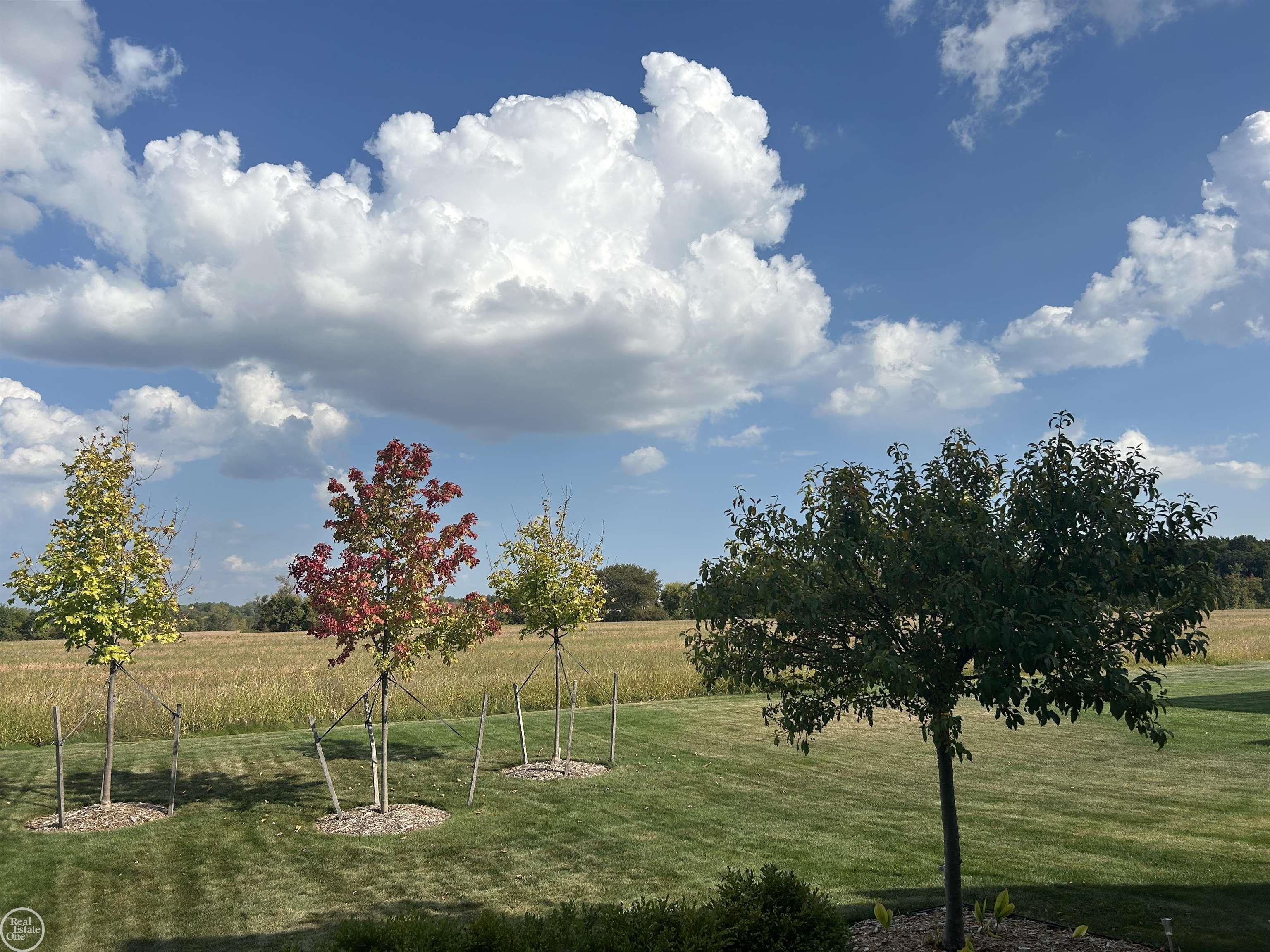 54568 Ann Drive Unit 37 Unit: Unit #37