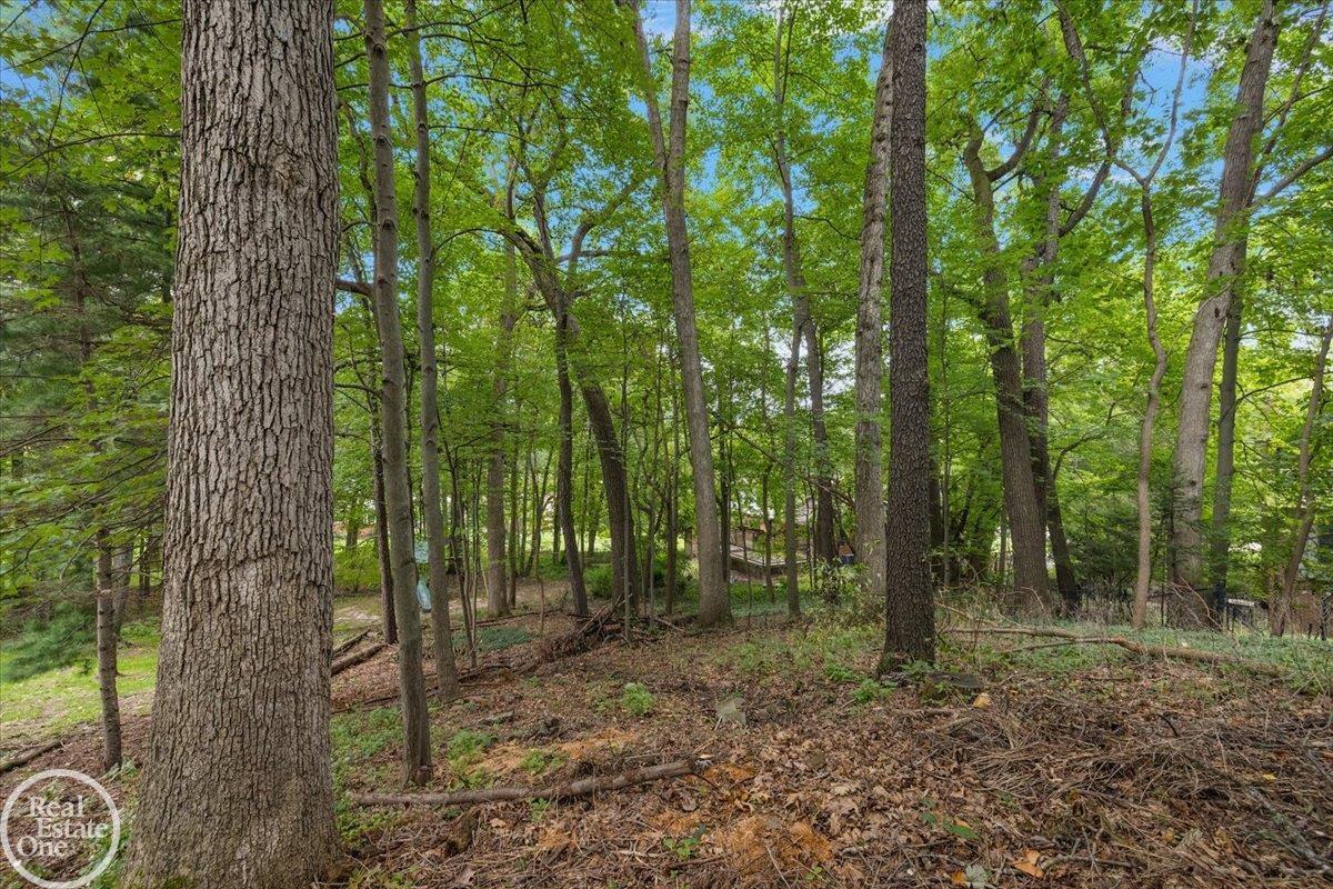 523 Ridgewood Road