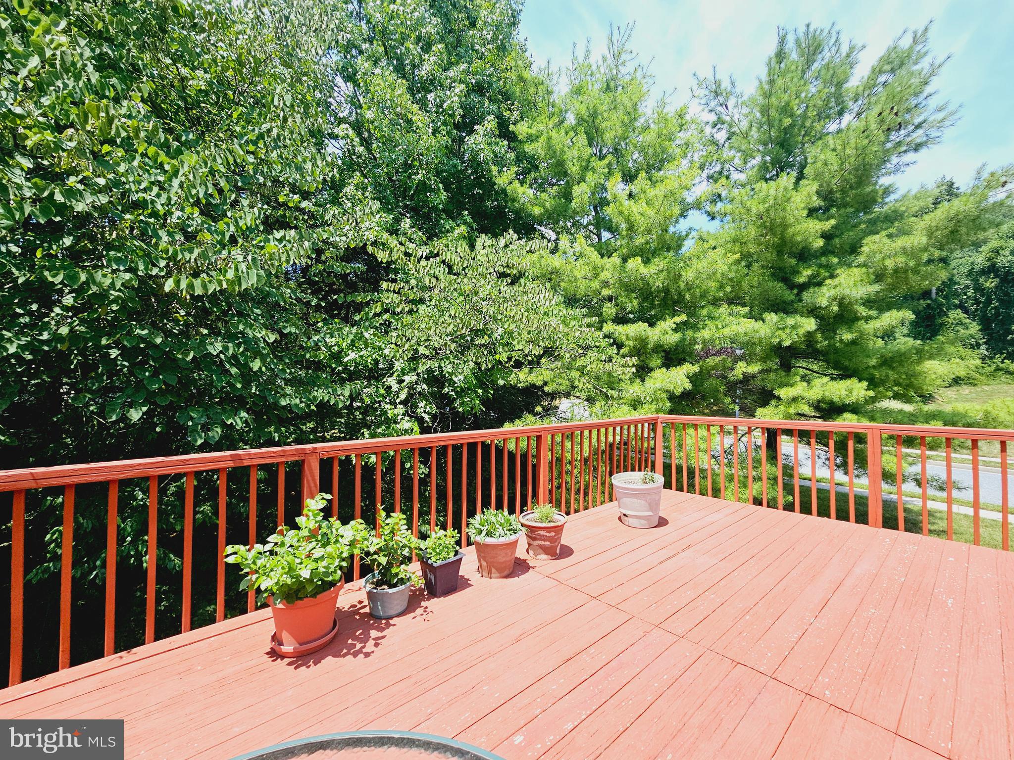 11900 WHITE HEATHER RD