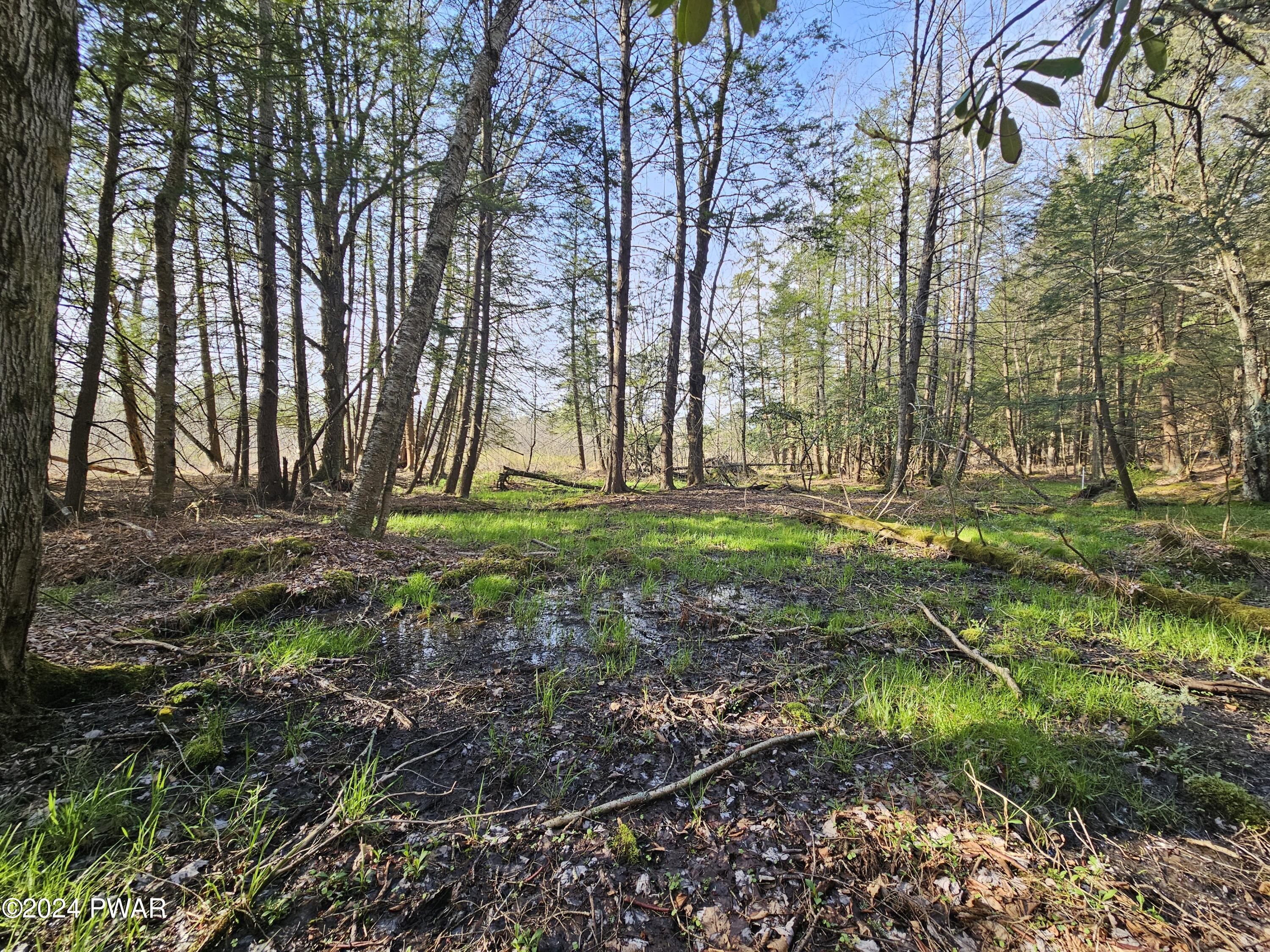 305 E Sterling Road