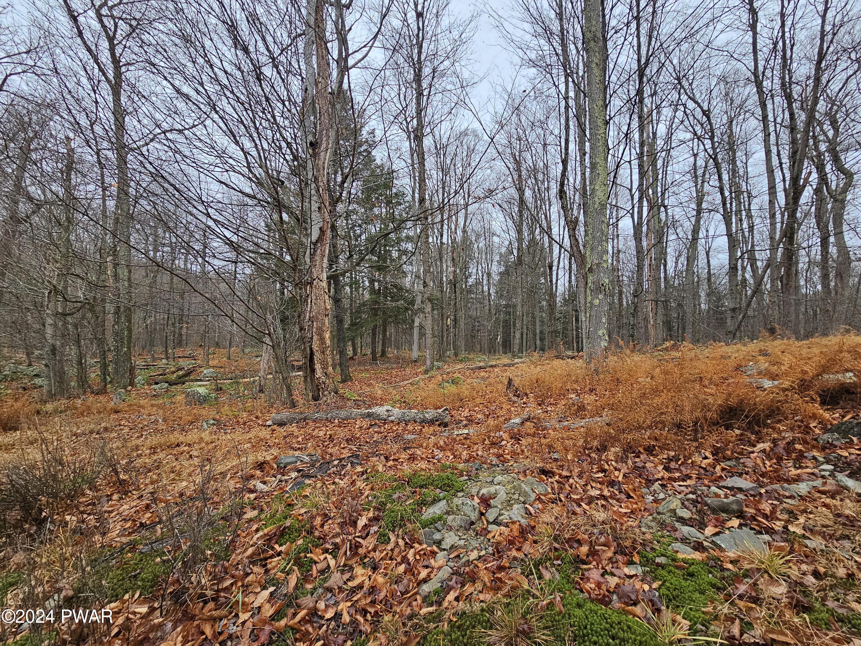 Lots 3113,3114,3115 Buck Hill