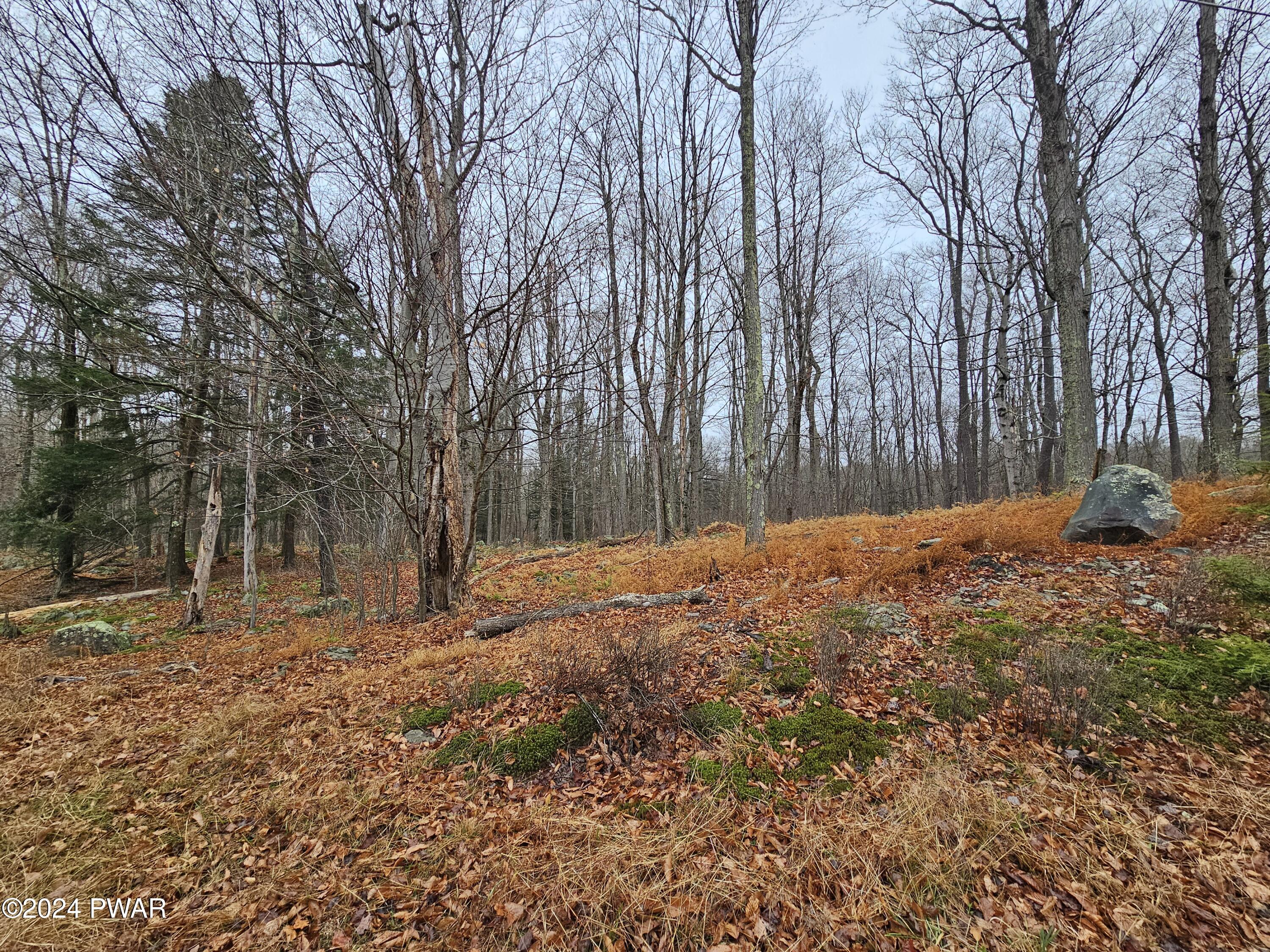 Lots 3113,3114,3115 Buck Hill