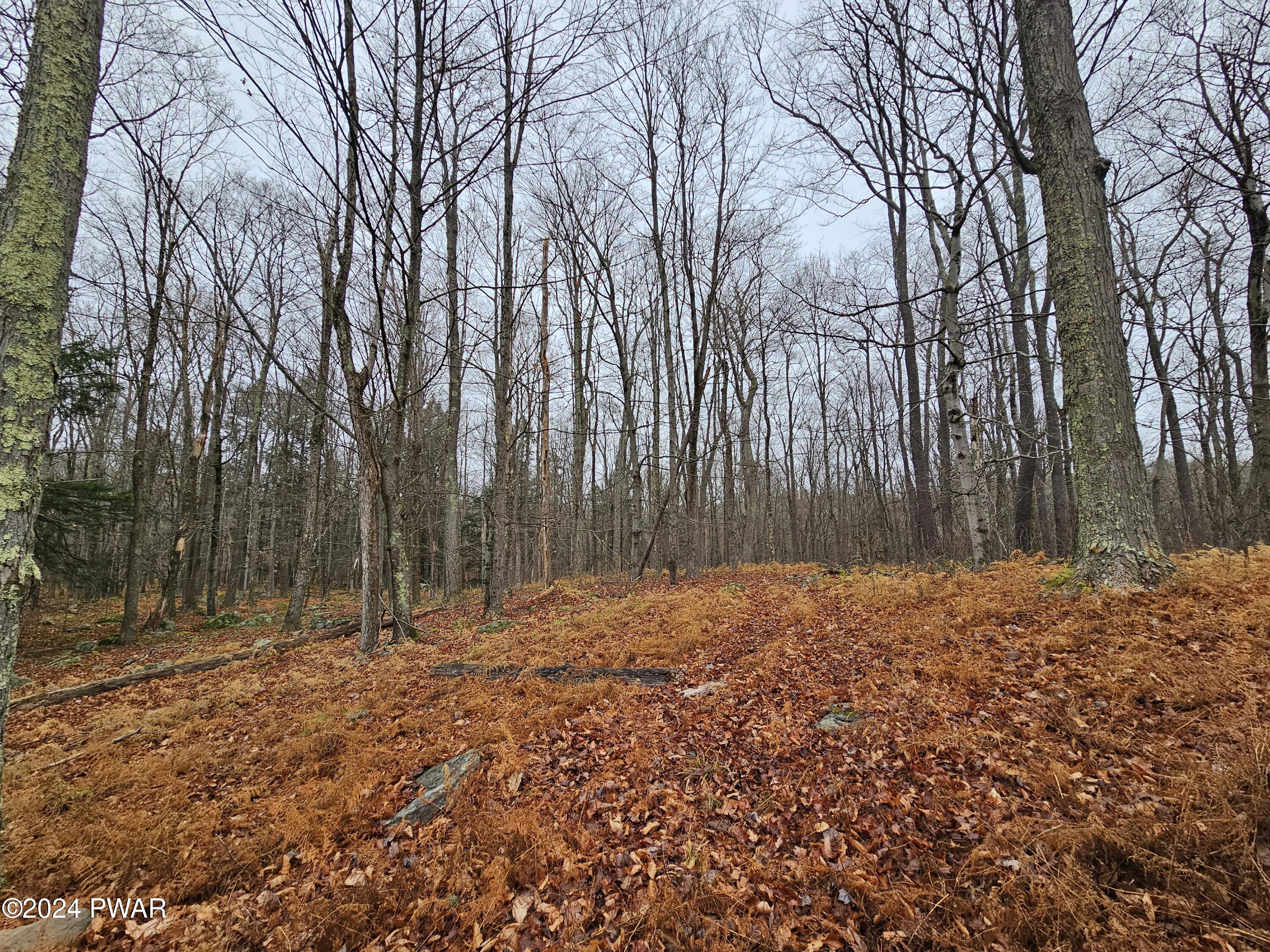 Lots 3113,3114,3115 Buck Hill
