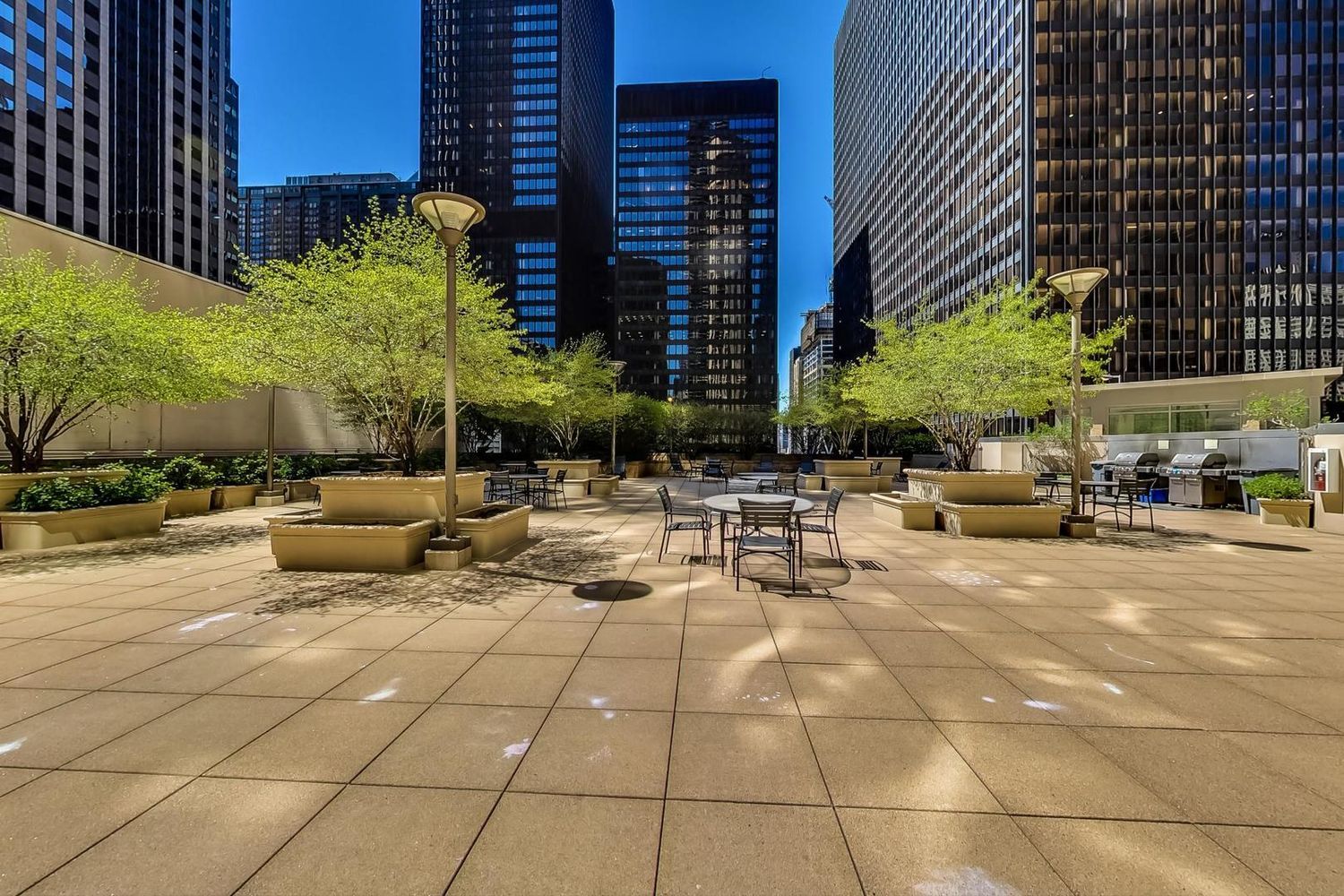 222 N Columbus Drive Unit: 3907