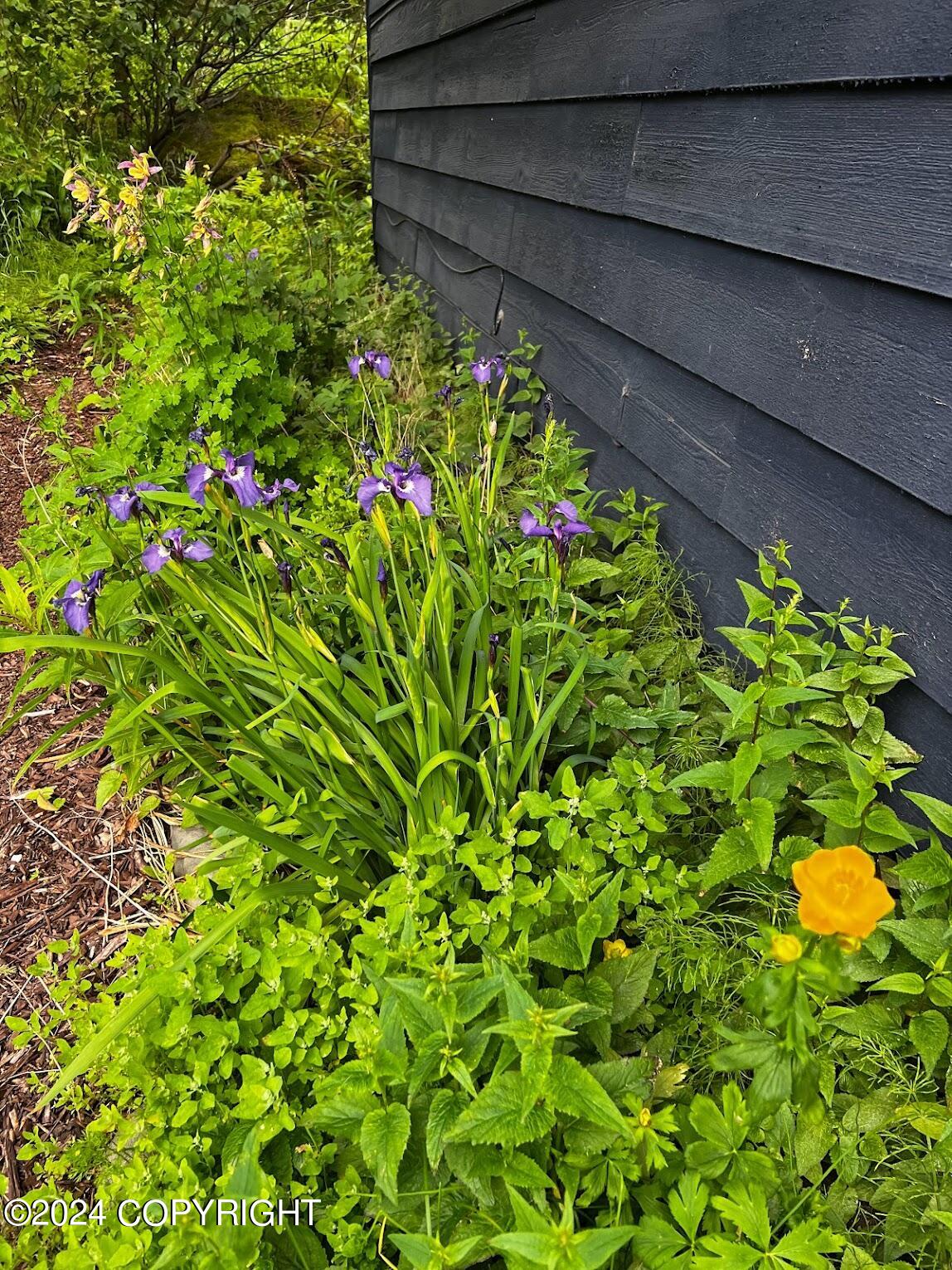 7820 Port Orford Drive