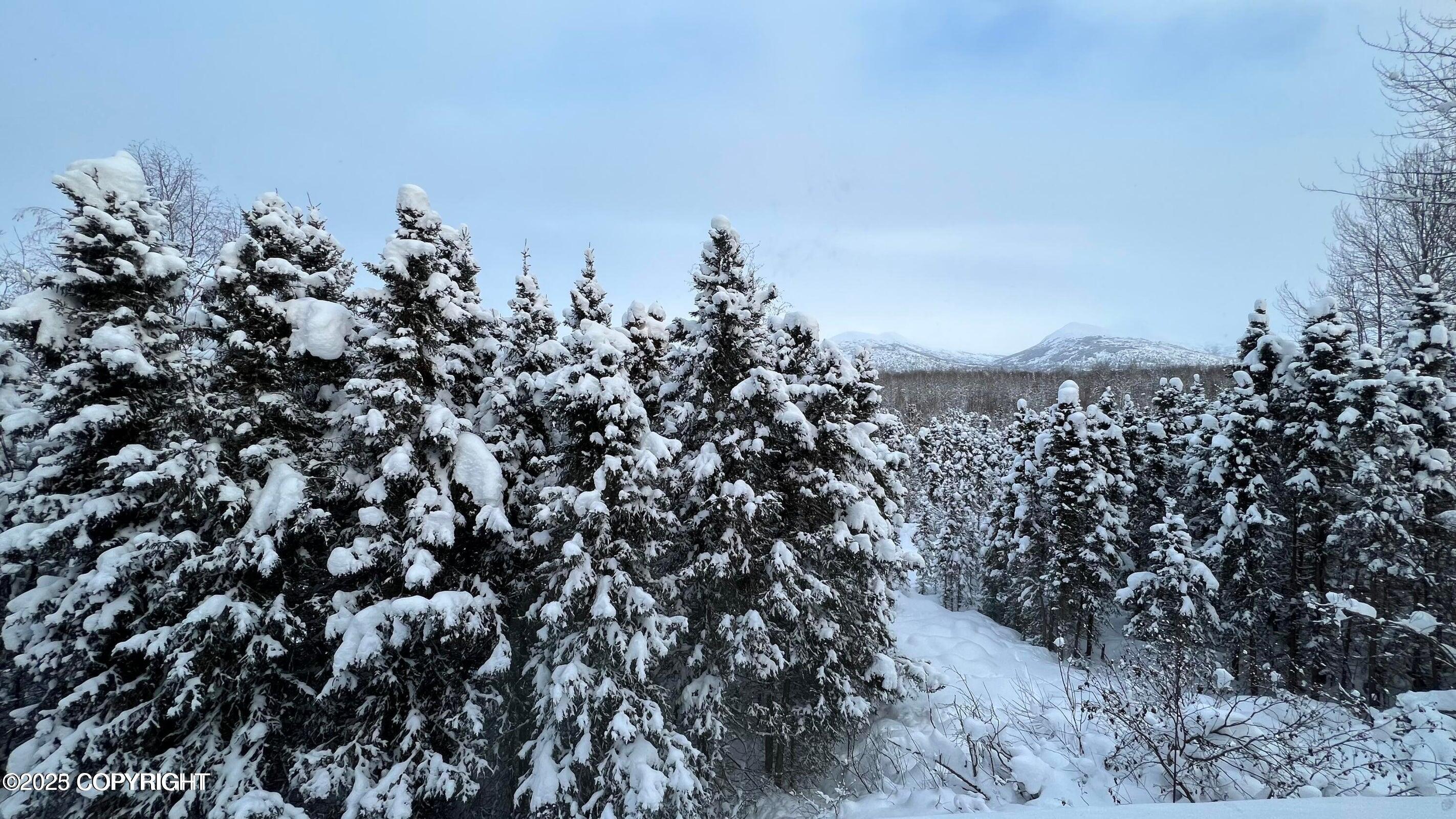 6469 Village Parkway # 203 Unit: #203