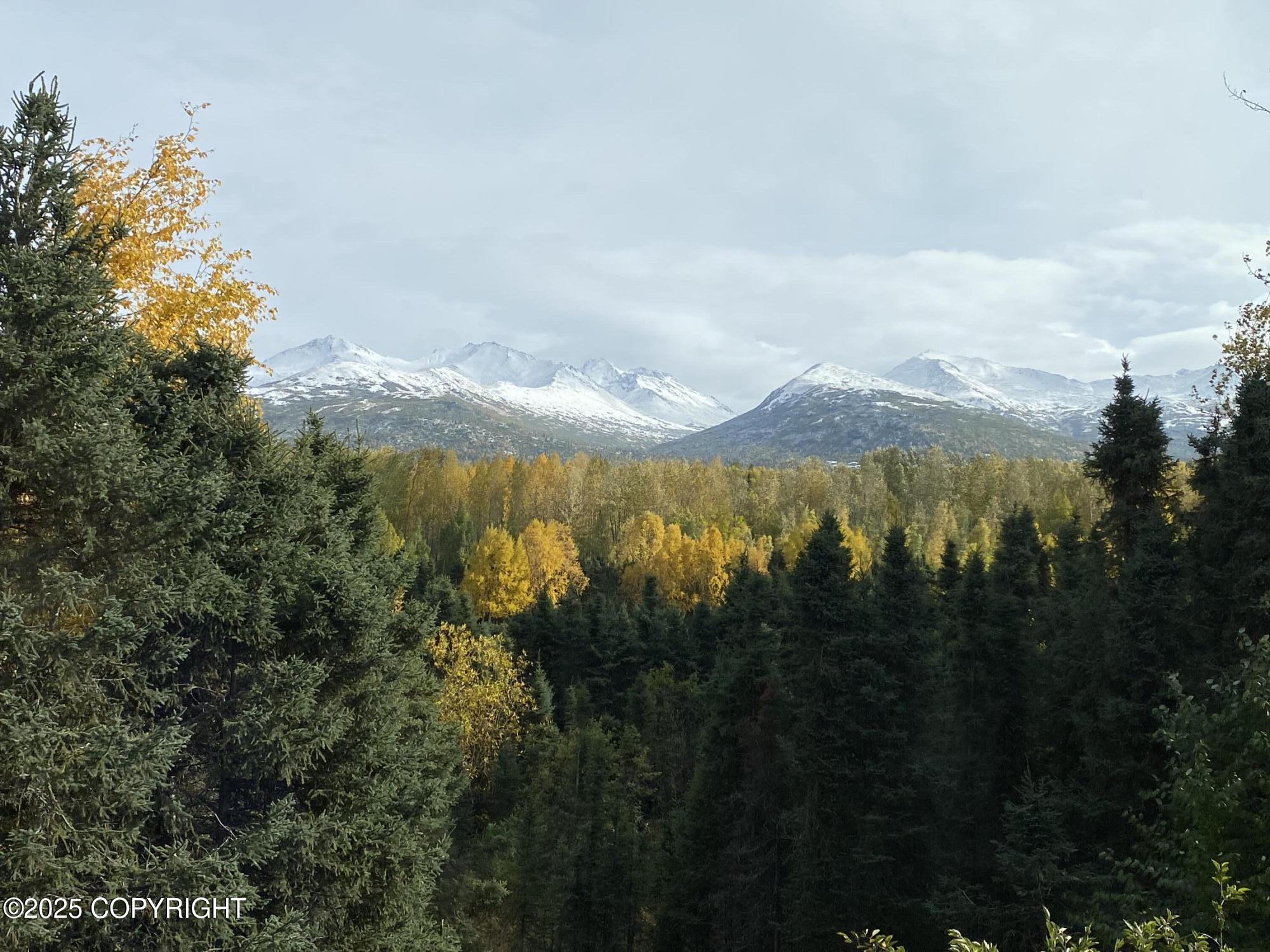 6469 Village Parkway # 203 Unit: #203