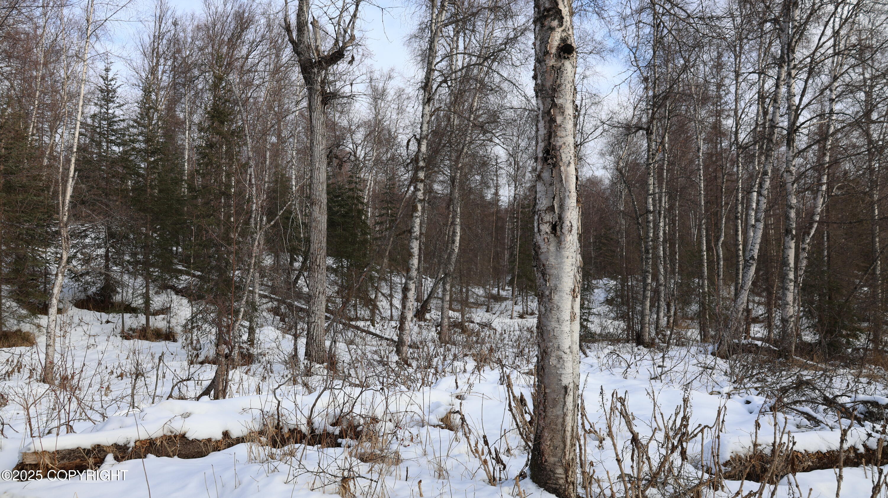 000 ASLS 75-128 TR D FishLakes Crk