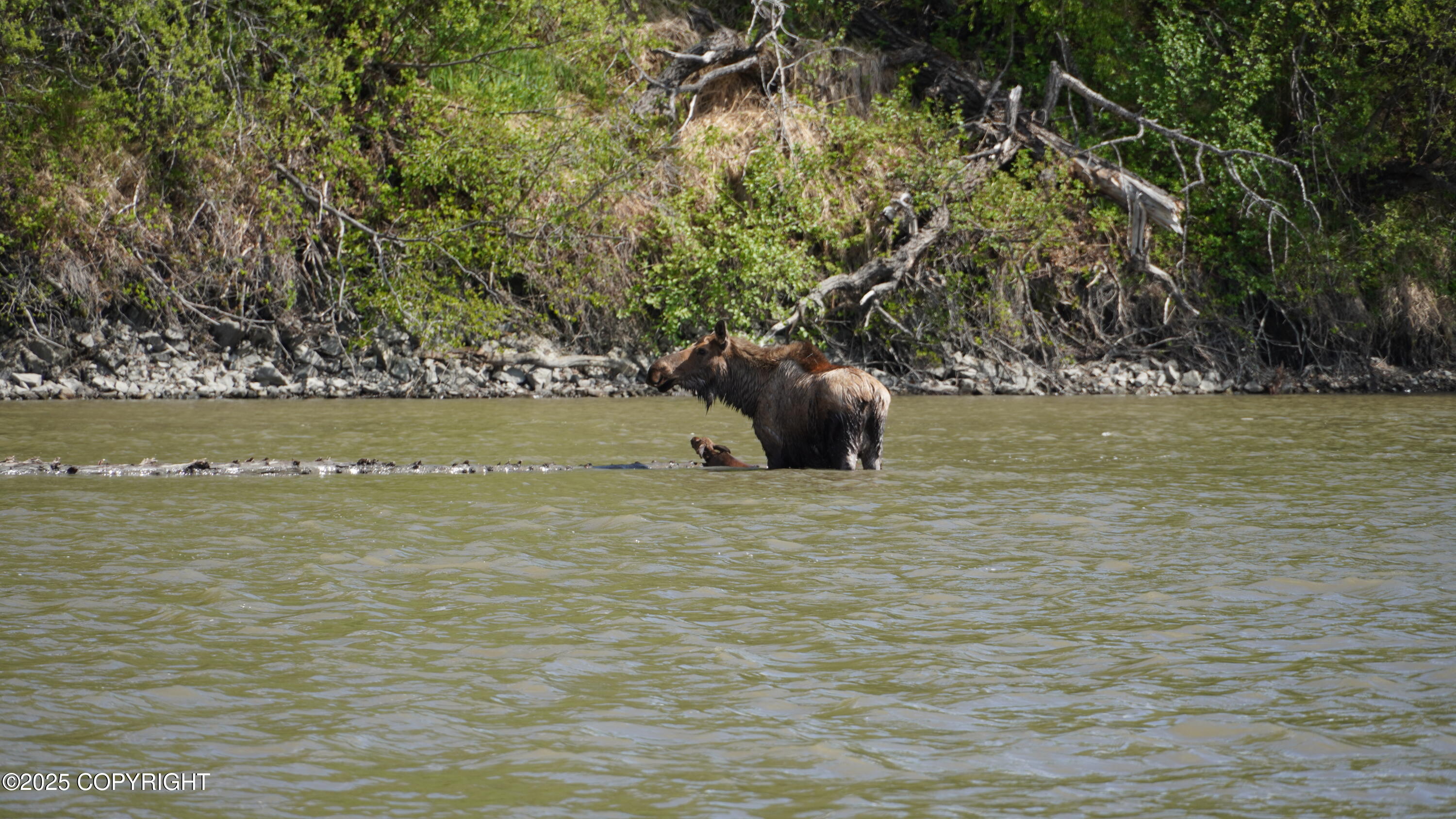 000 ASLS 75-128 TR D FishLakes Crk