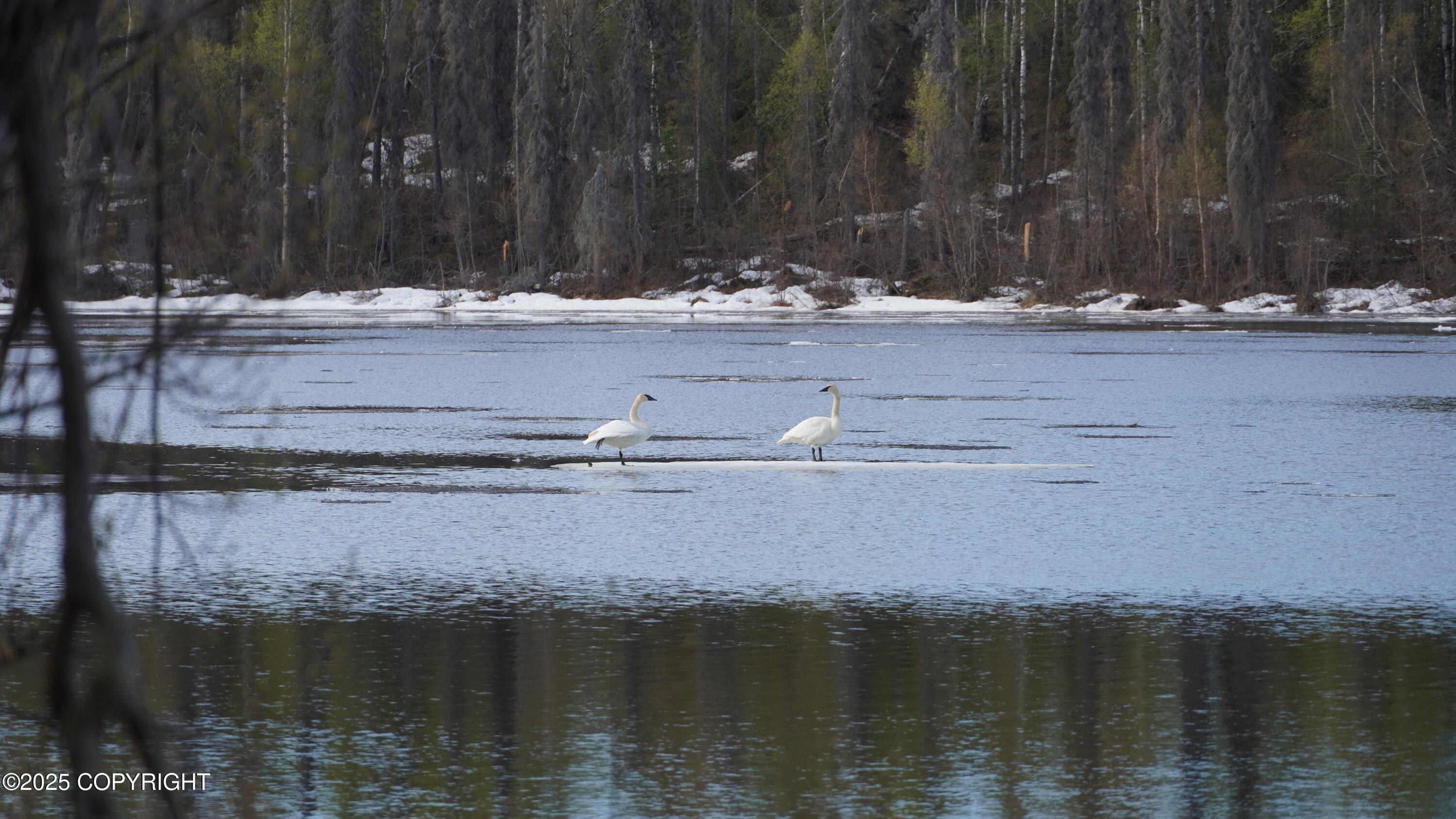 000 ASLS 75-128 TR D FishLakes Crk