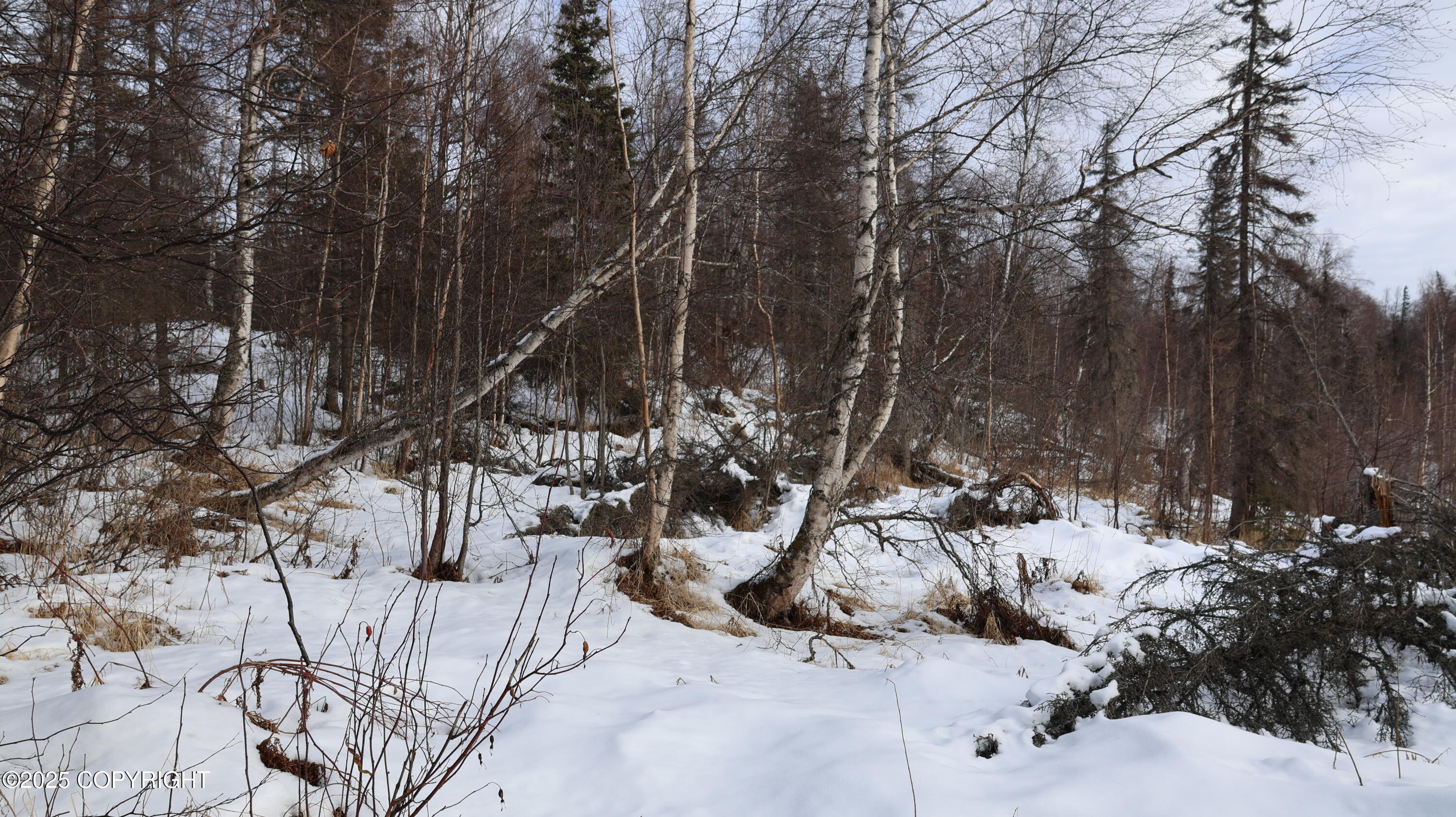 000 ASLS 75-128 TR D FishLakes Crk