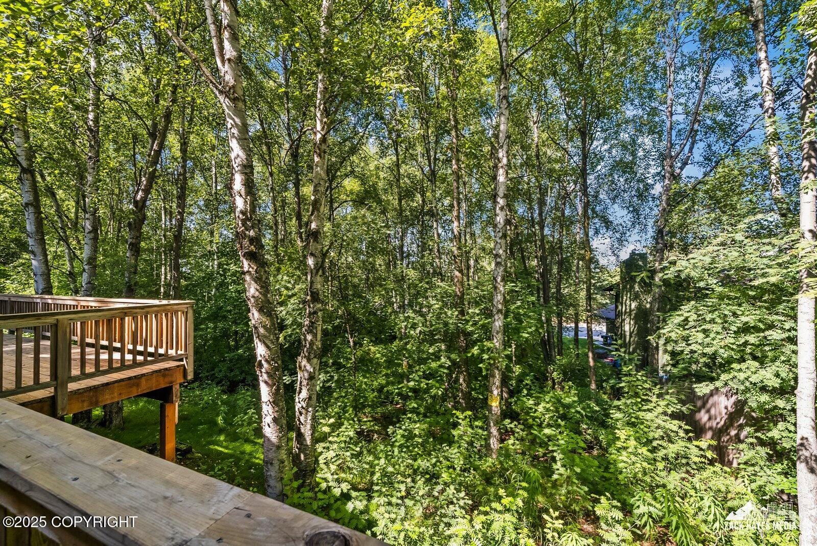 3818 Helvetia Drive