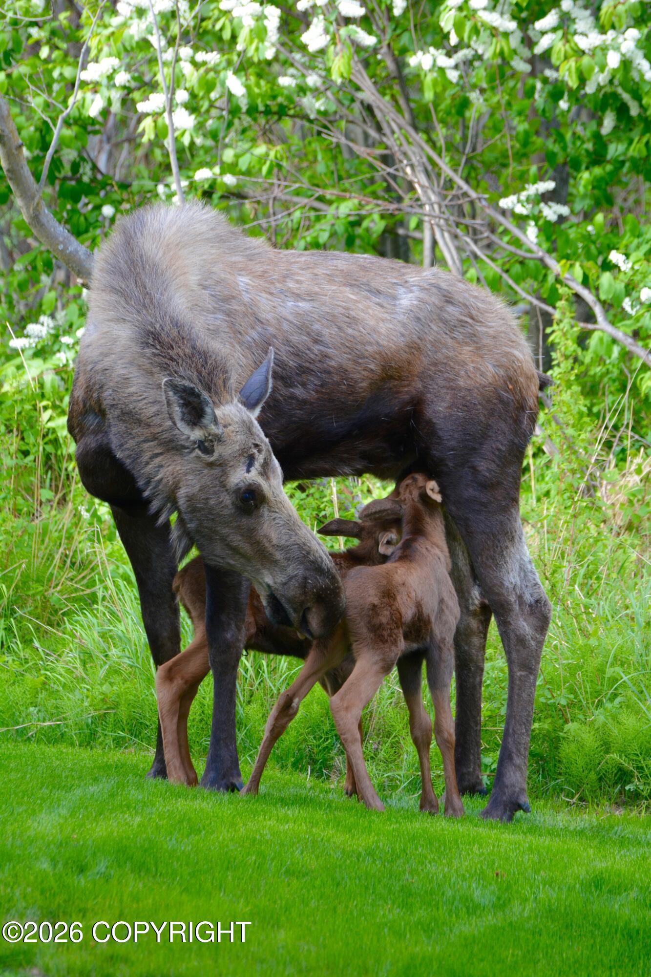 2103 Tributary Circle