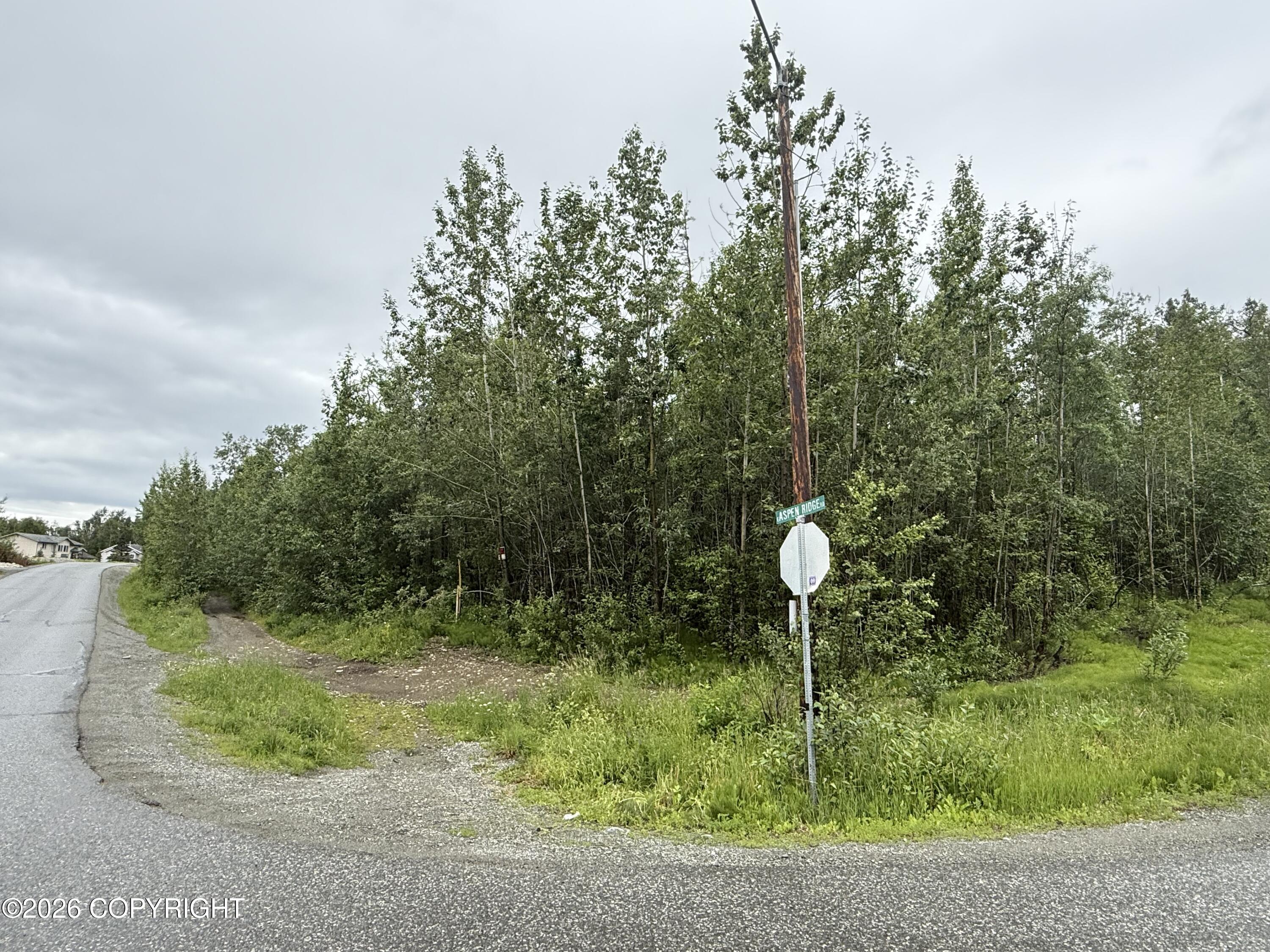 Lot3 B2 E Aspen Ridge Road