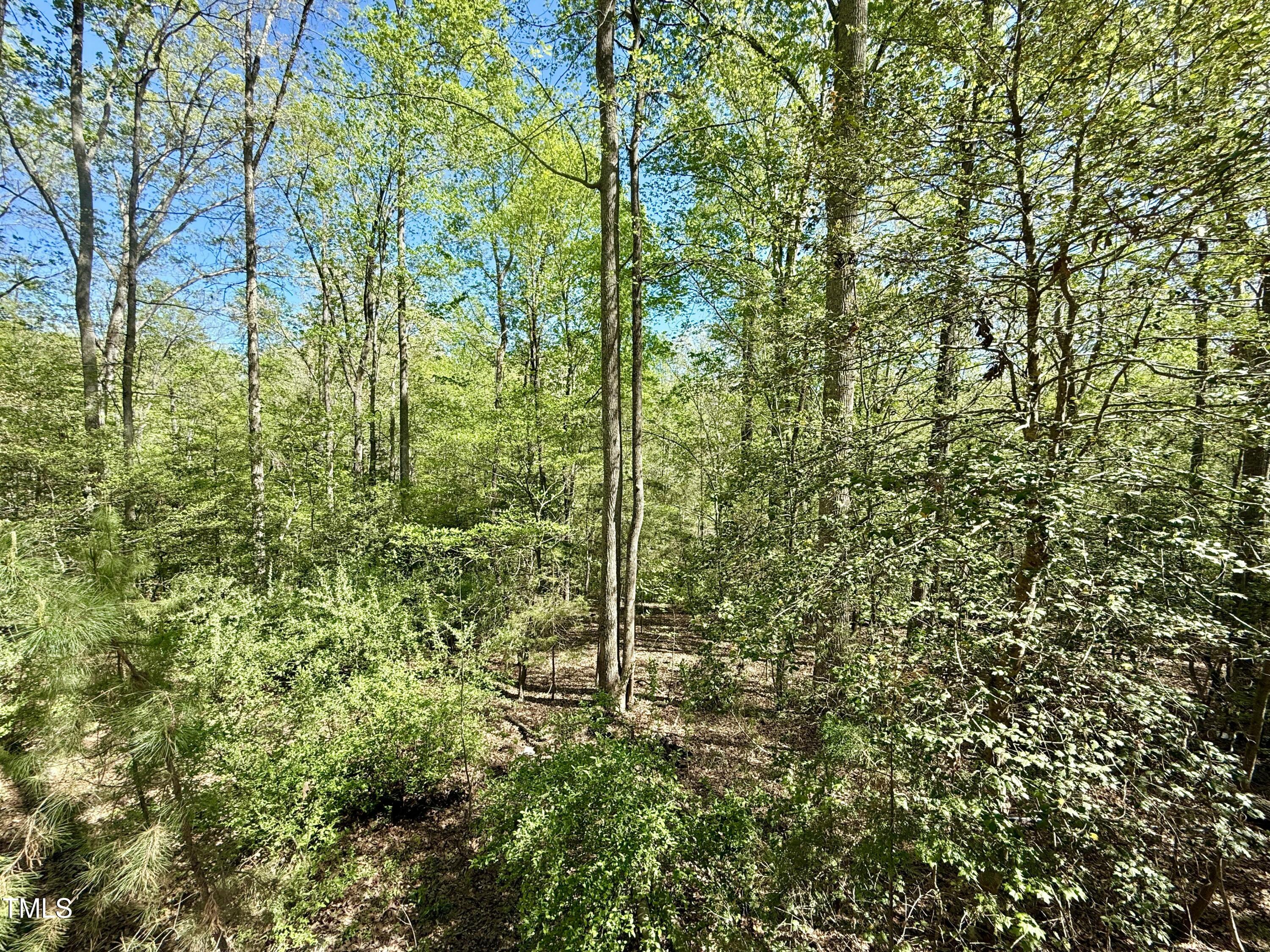 161 Burnett Circle Extension