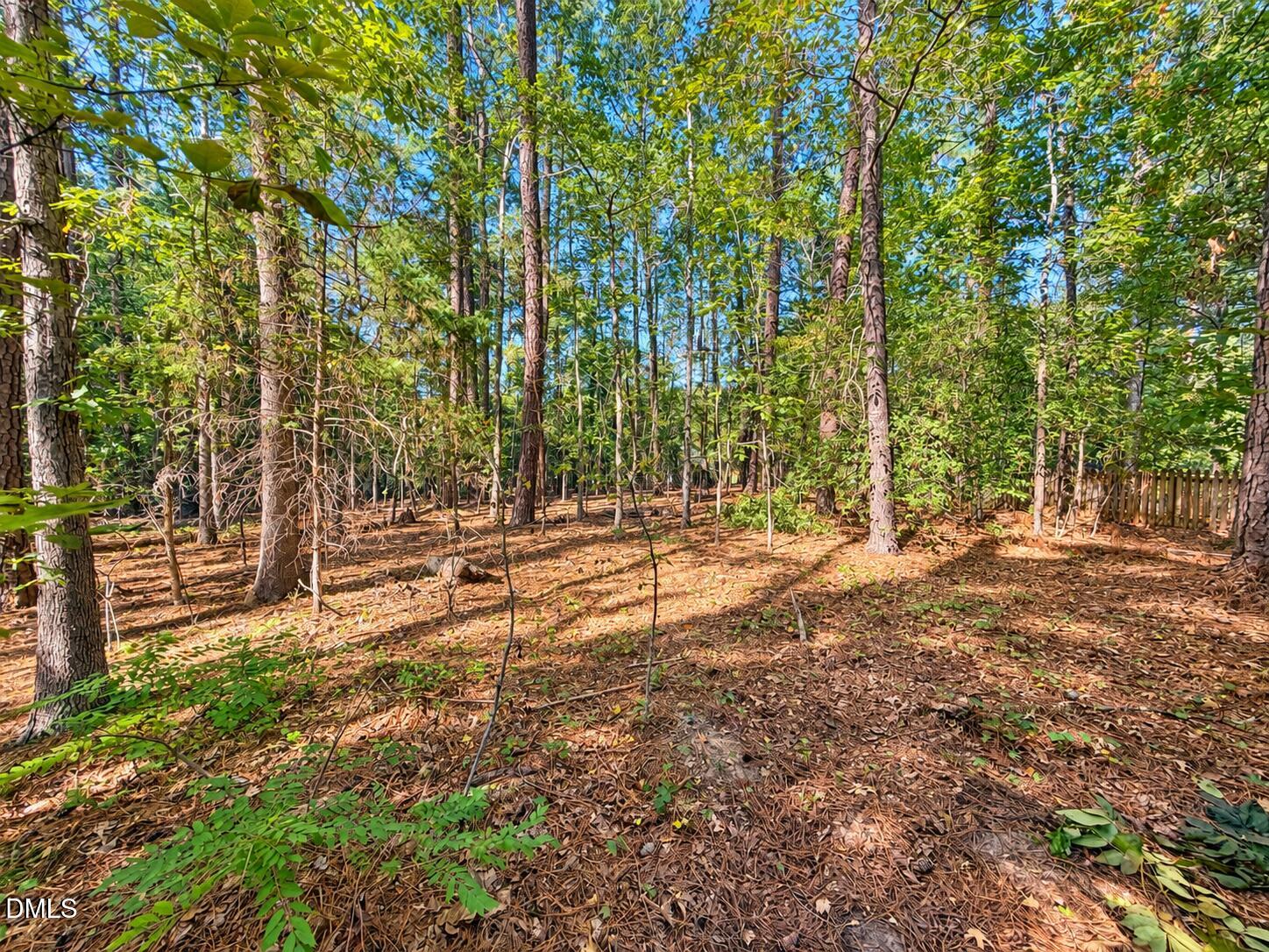 111 Wenonah Way