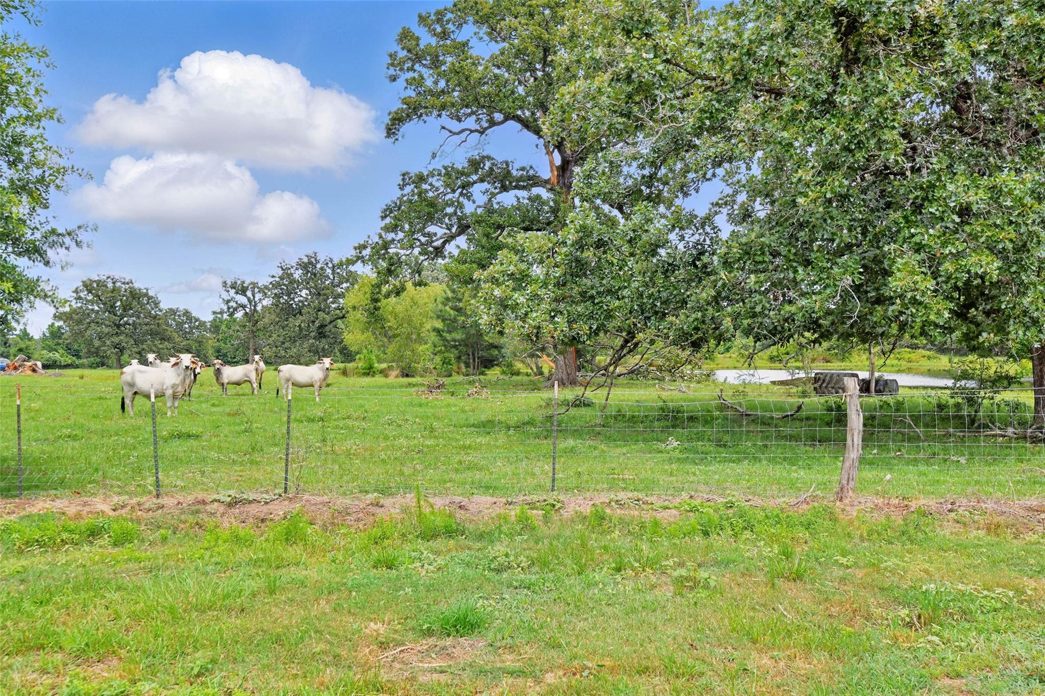 960 N Fm 1486 Road