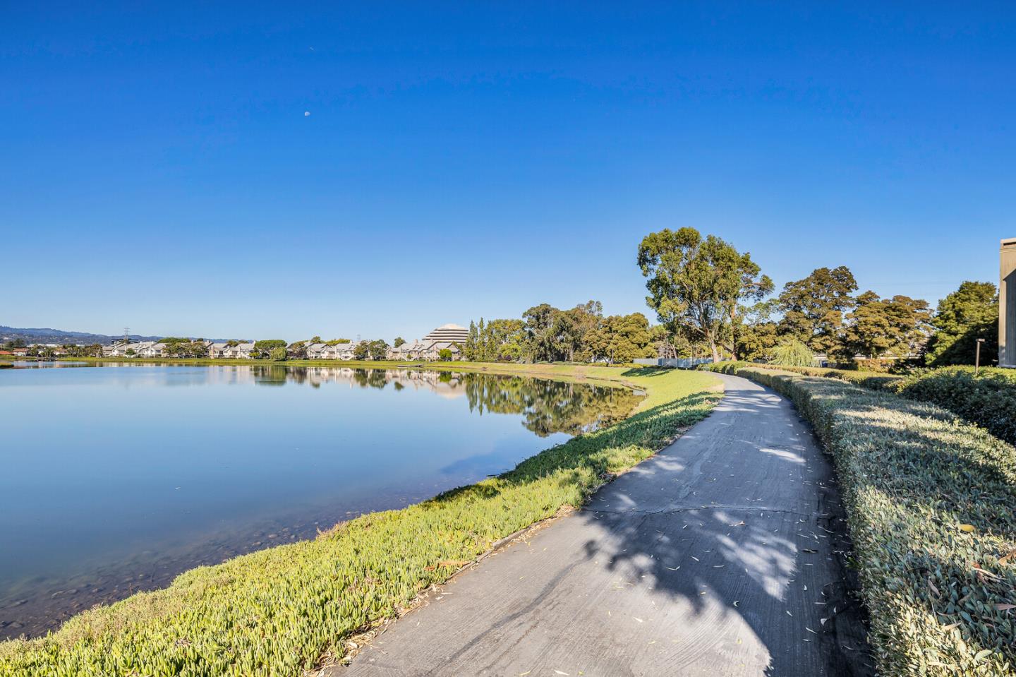 815 Sea Spray Lane 207