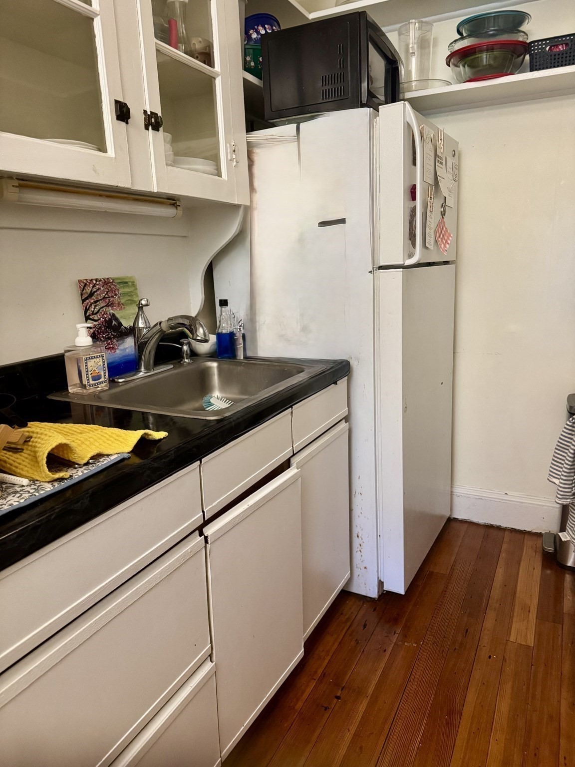 38 Linnaean Street # 3
