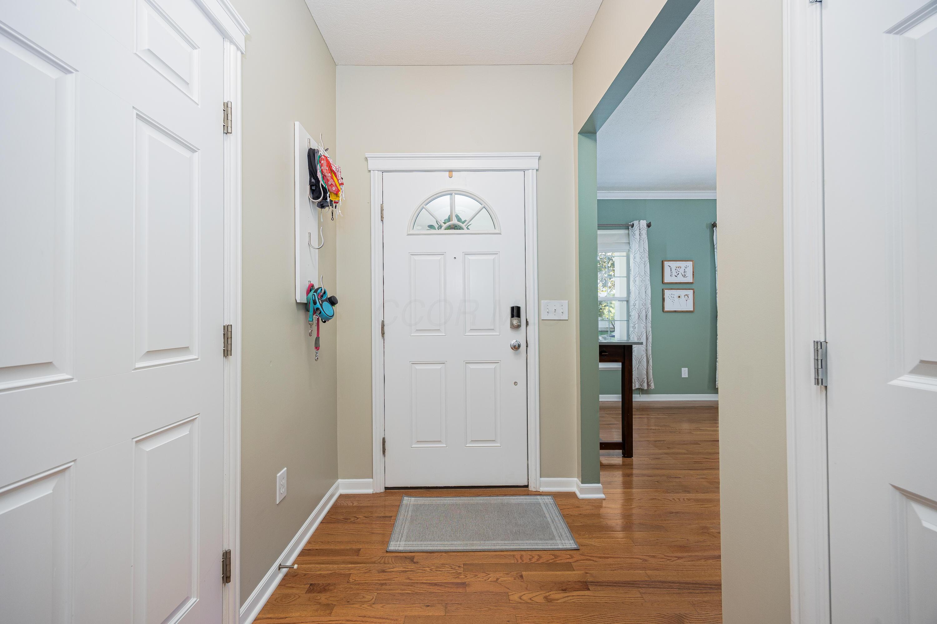 6380 Skipping Stone Drive