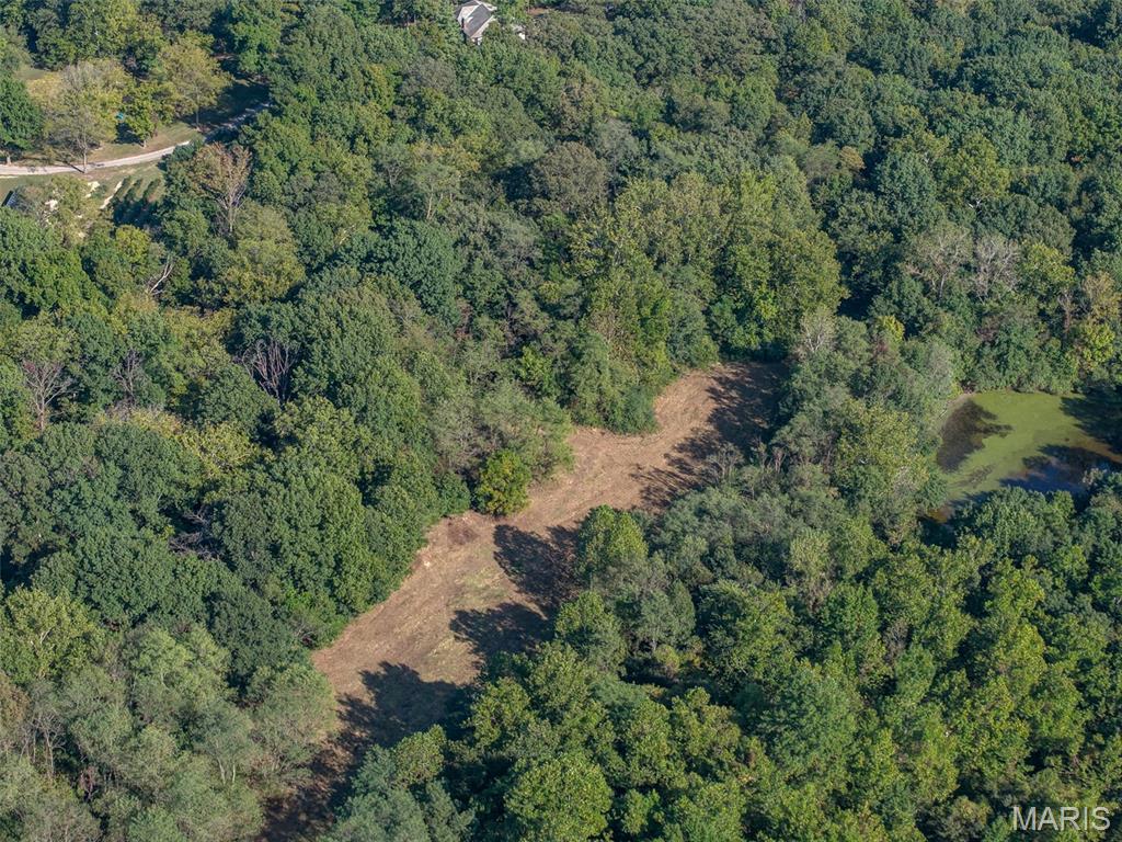 100 Saint Jude Drive