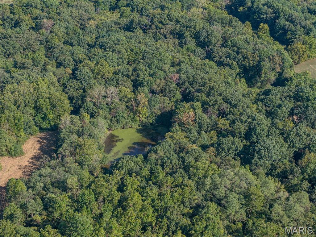 100 Saint Jude Drive