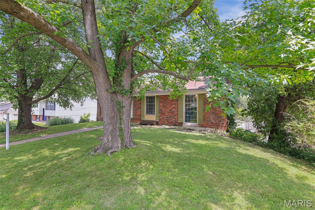 5905 Dogwood Lane