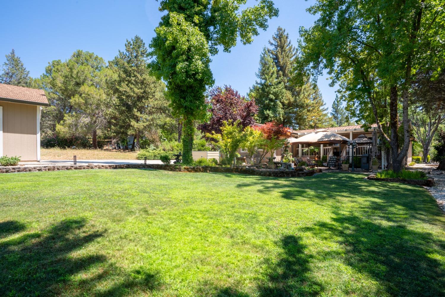 11384 Torrey Pines Drive