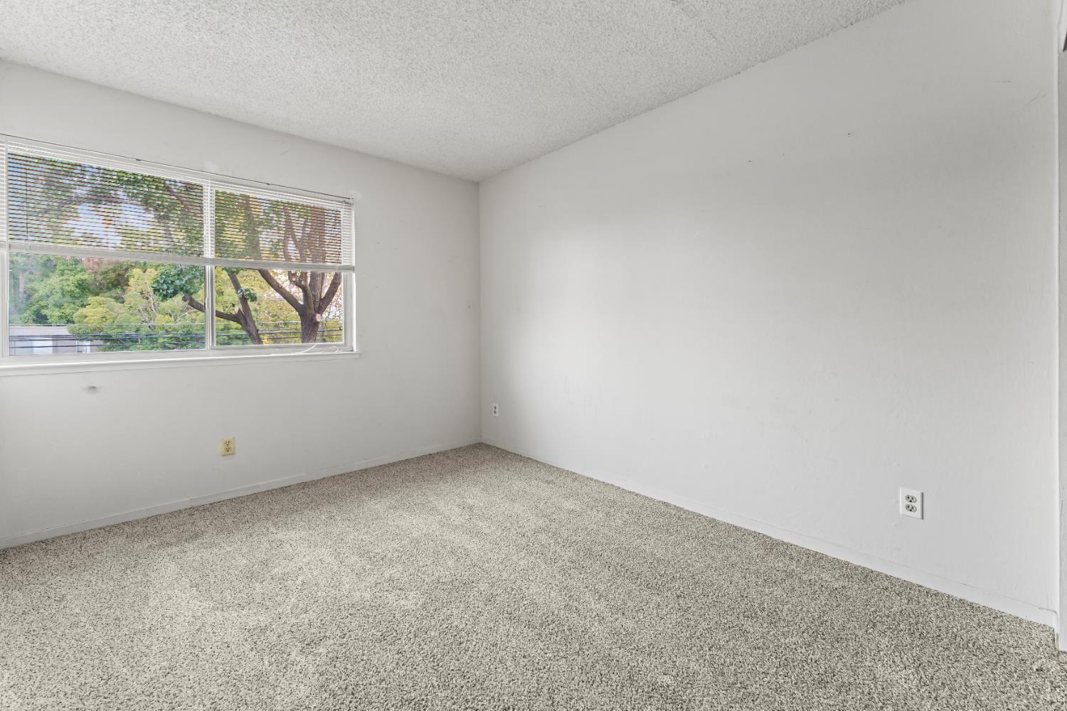 5907 Casa Alegre