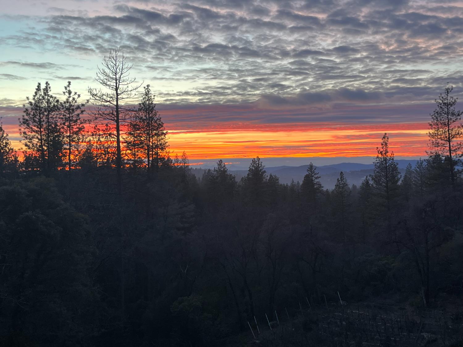 17833 Country Circle