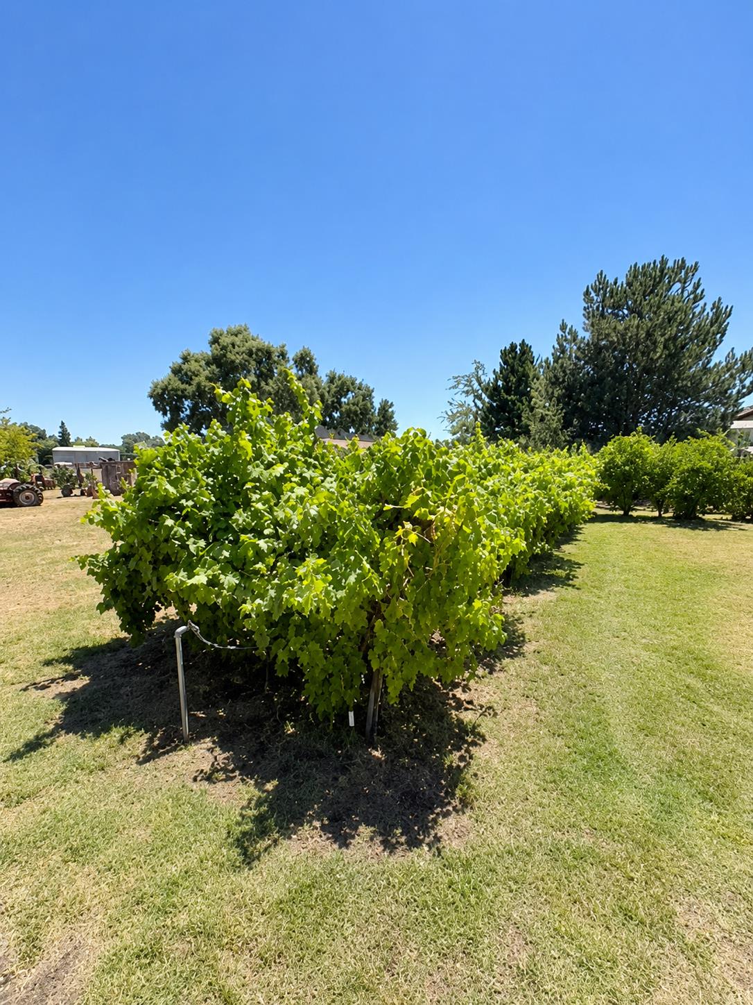 8781 Dillard Road