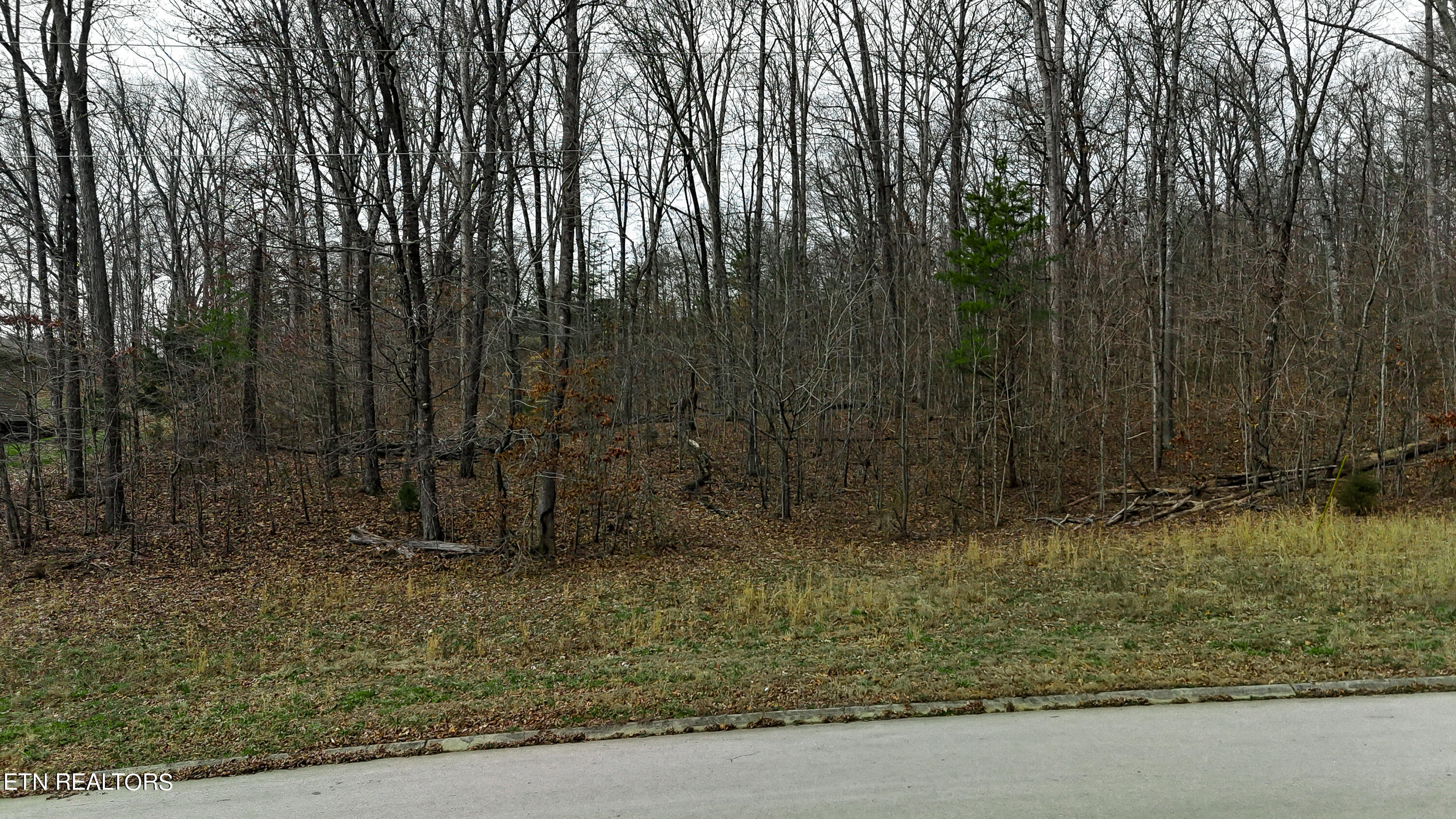 Lot 40 Woodhaven Drive