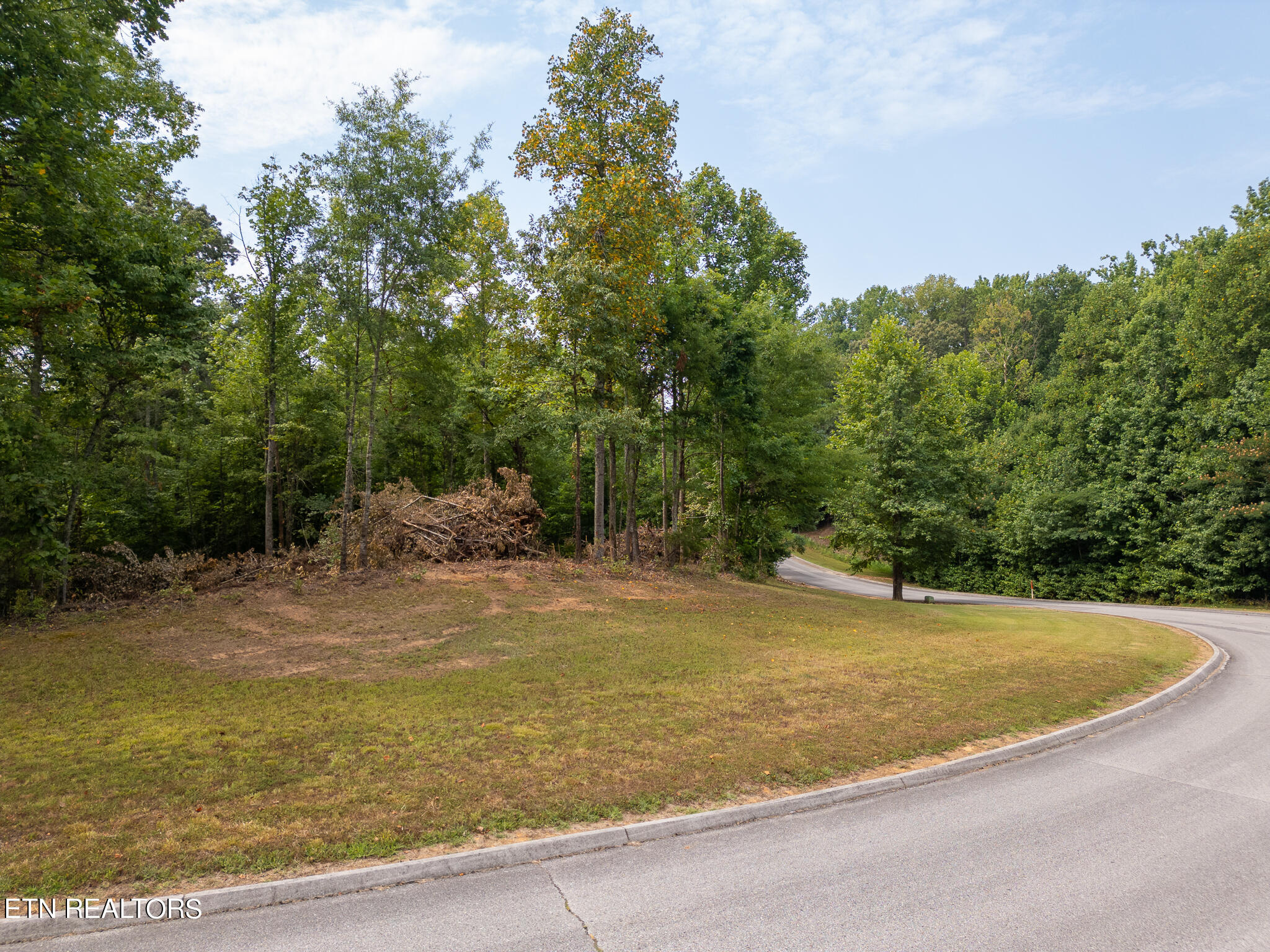Lot 36, 37 Emory Cove Drive