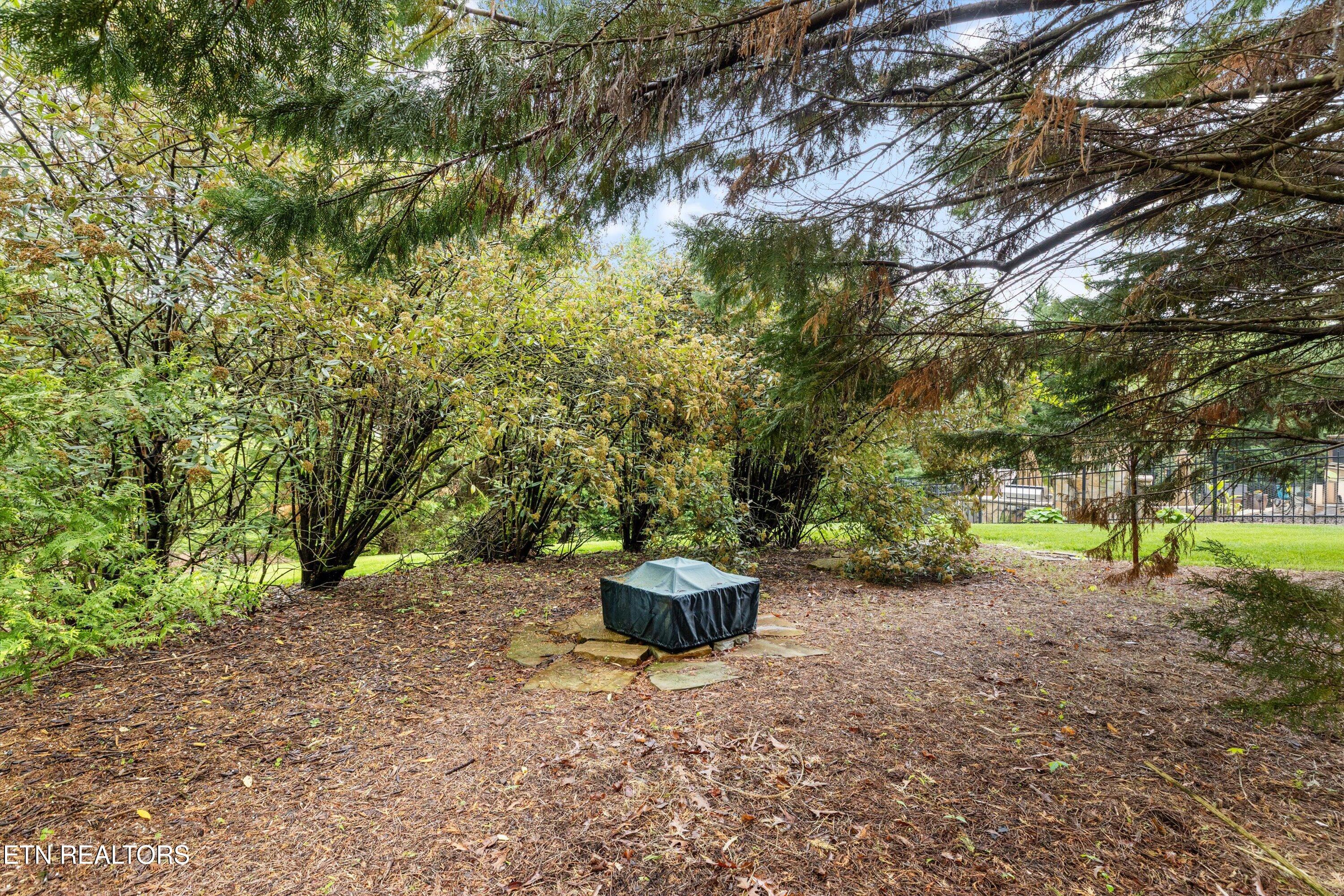 1216 Hollow Ridge Lane