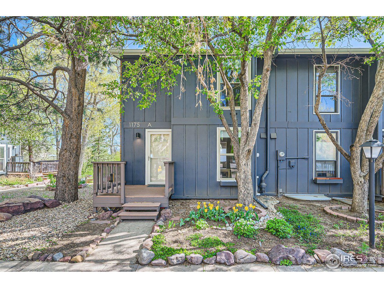 1175 Bear Mountain Dr A