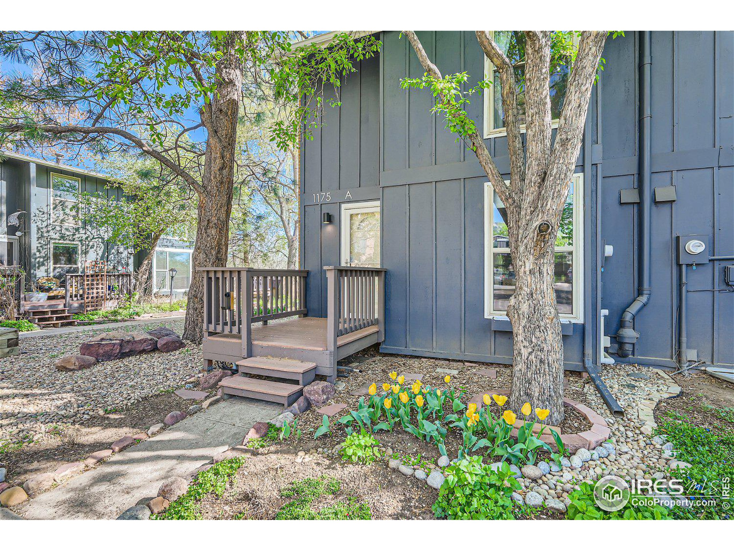 1175 Bear Mountain Dr A