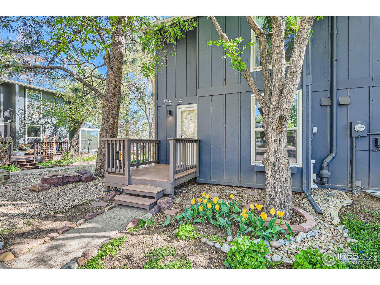 1175 Bear Mountain Dr A