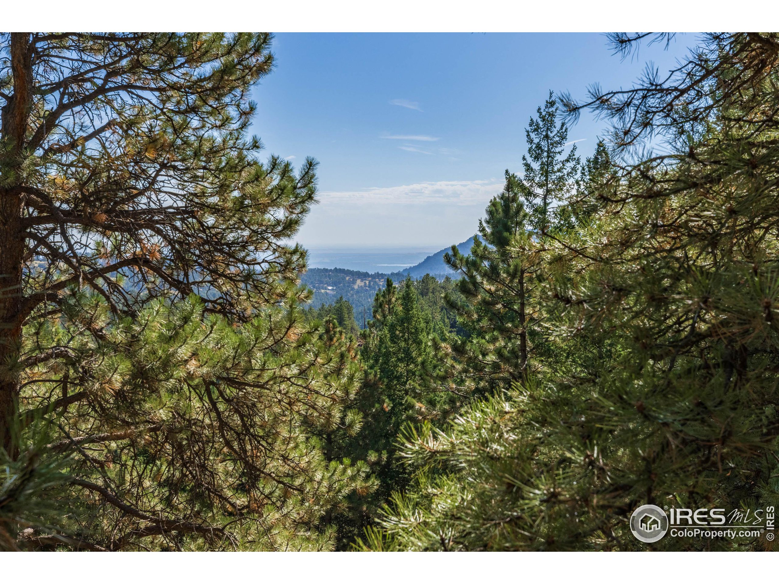 155 Millionaire Dr W