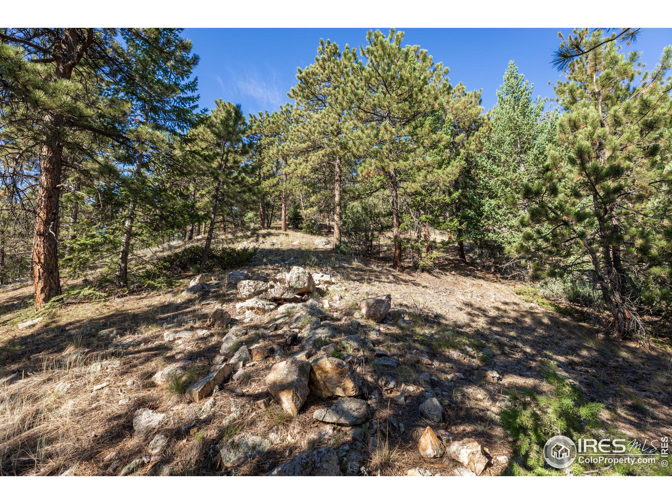 155 Millionaire Dr W