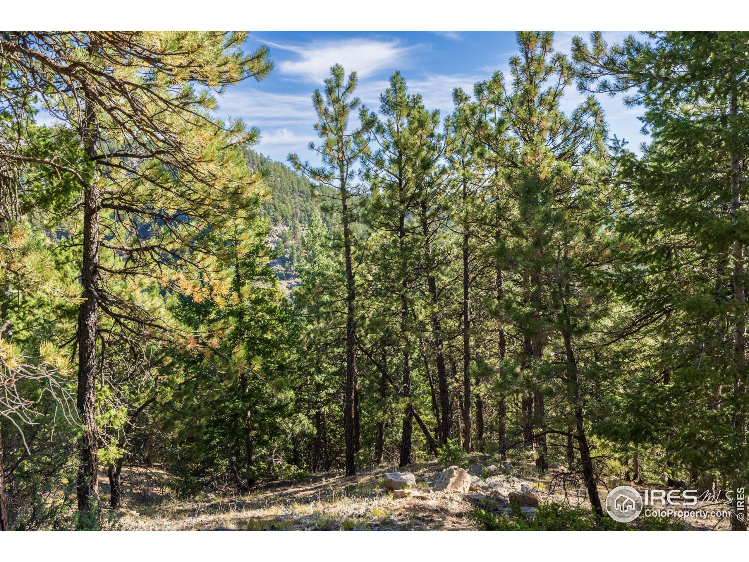 155 Millionaire Dr W