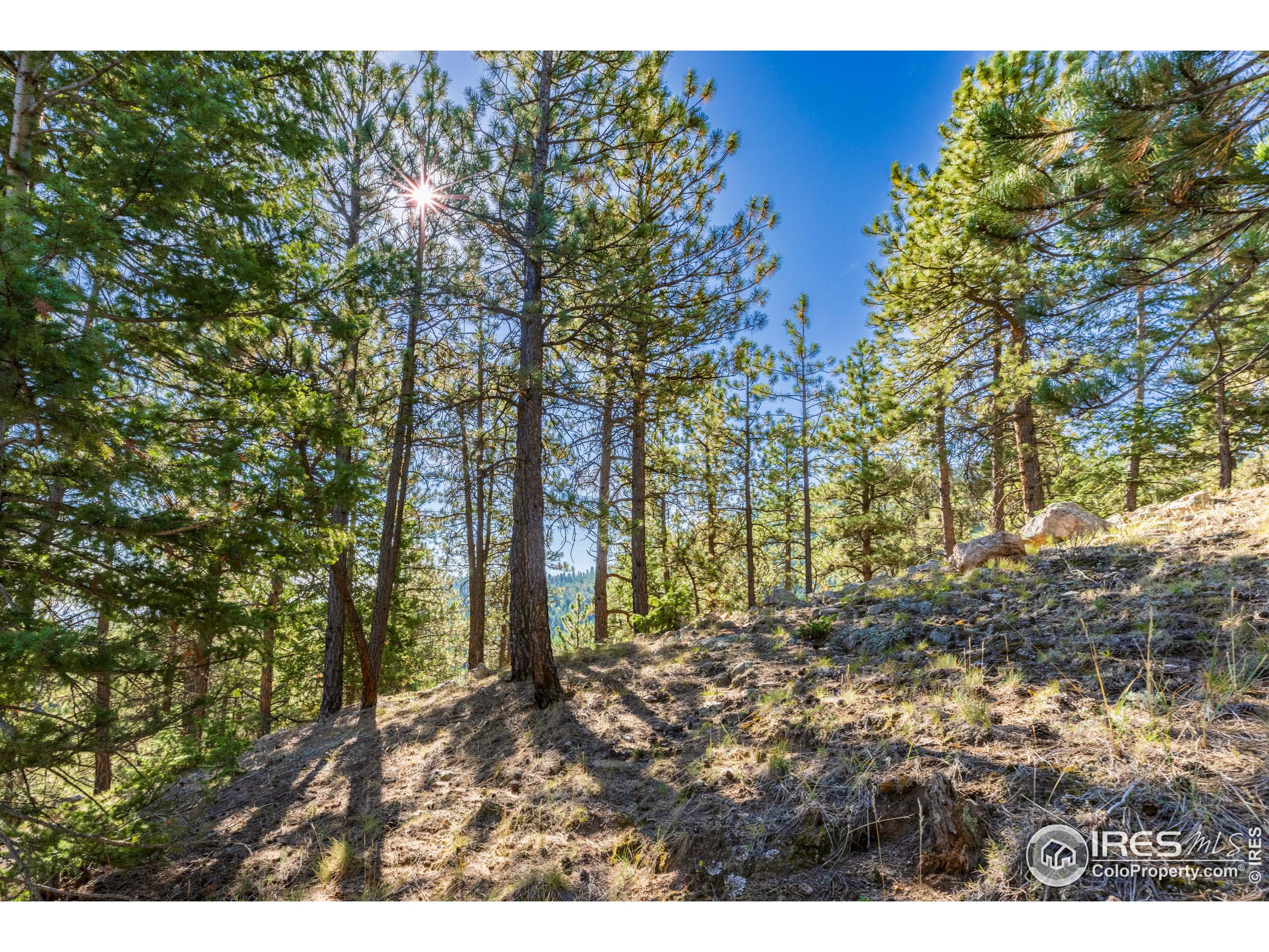 155 Millionaire Dr W