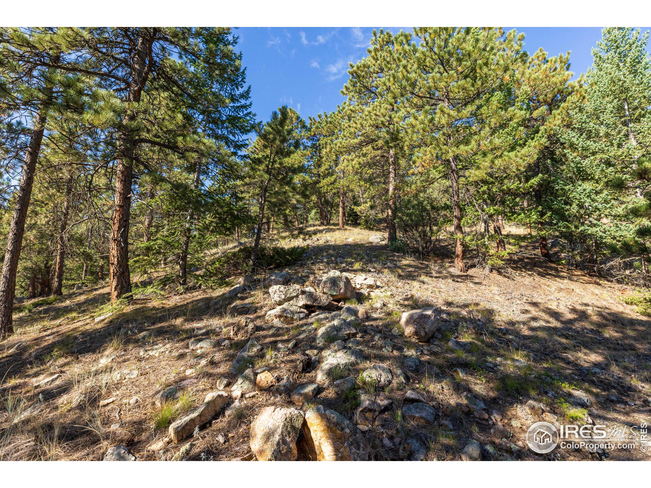 155 Millionaire Dr W