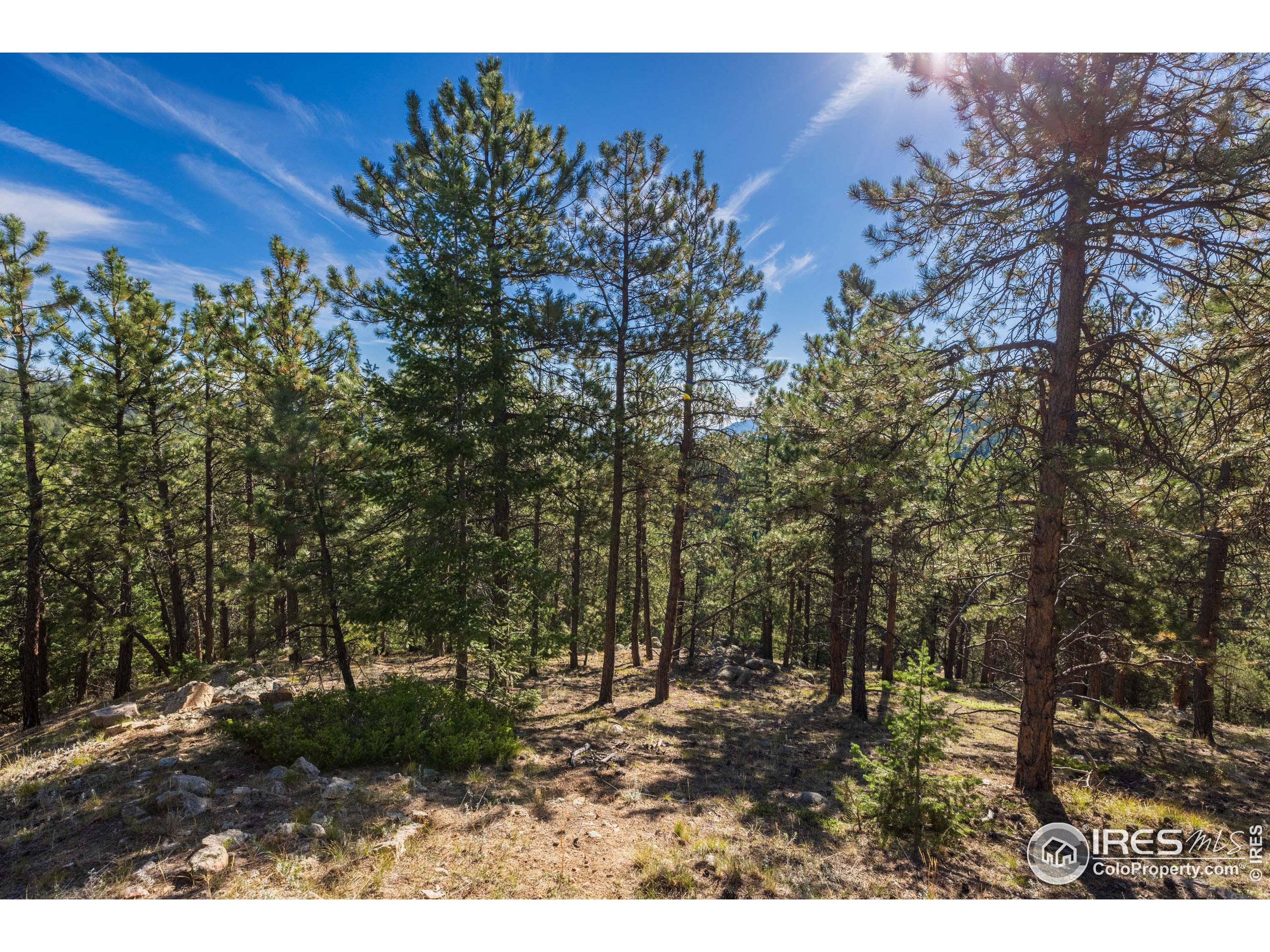 155 Millionaire Dr W