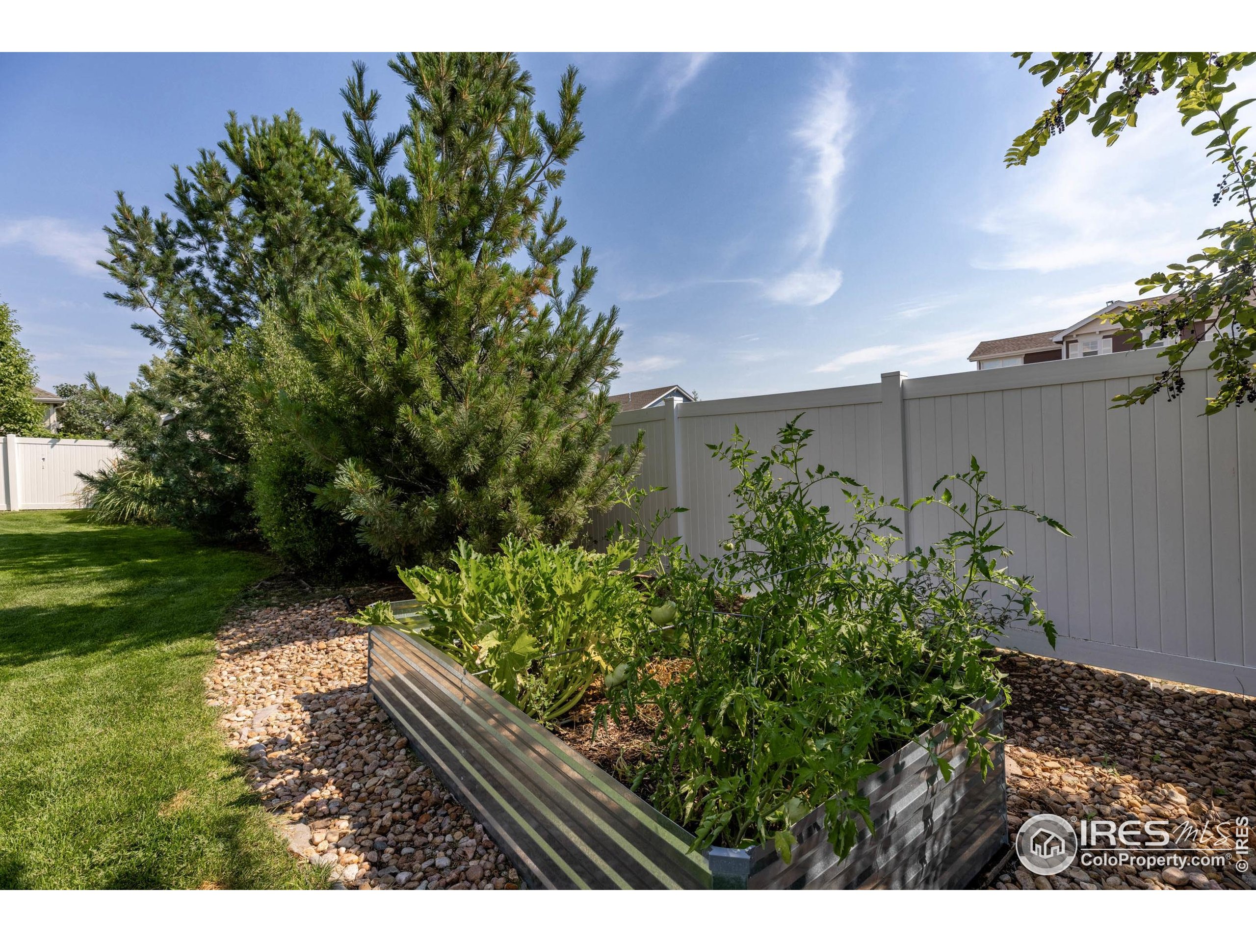 1107 Crescent Dr